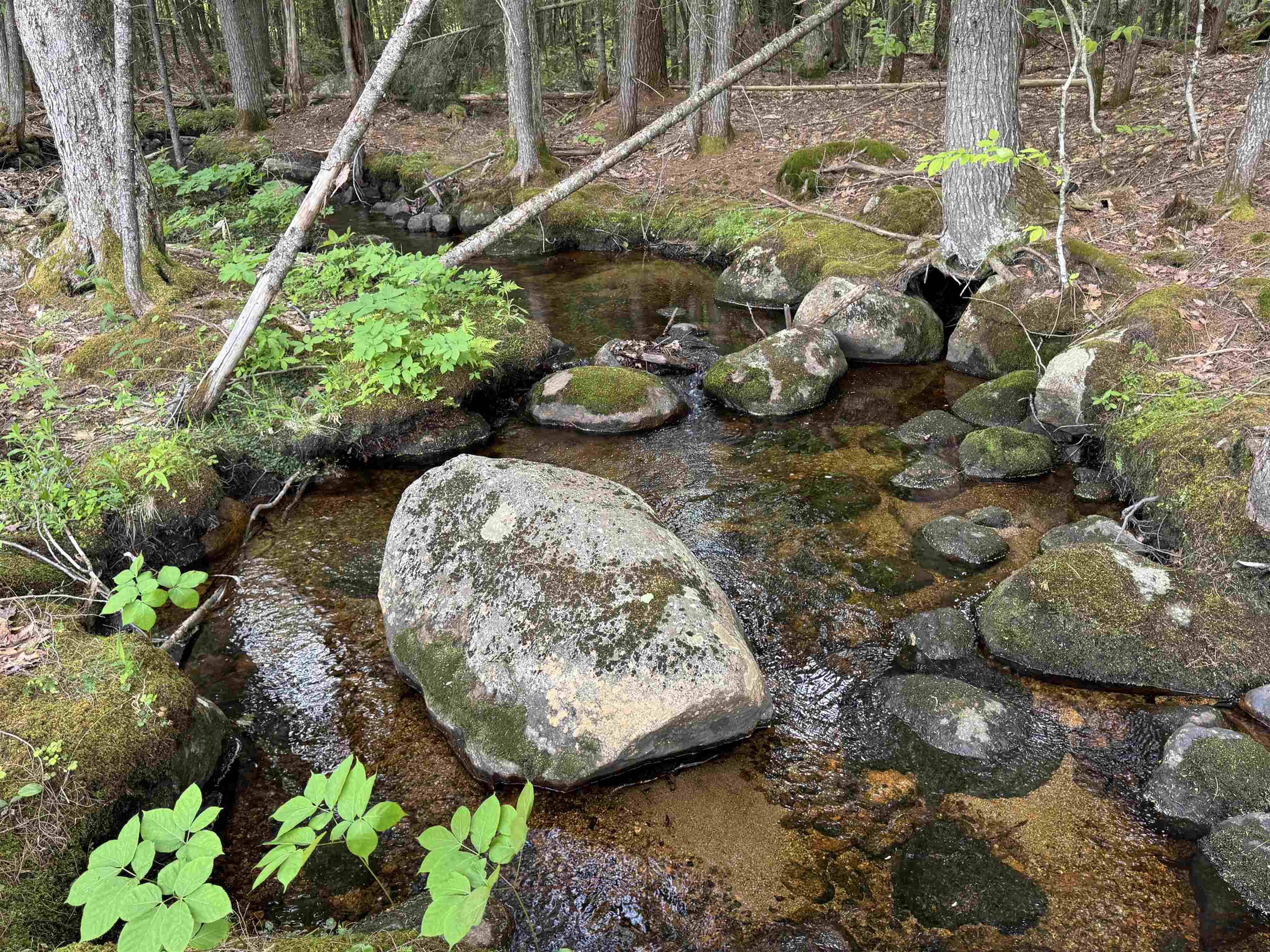 Tamworth, NH 03886,512 Deer Hill RD