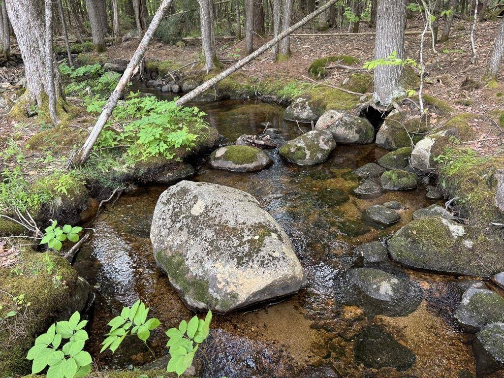 Tamworth, NH 03886,512 Deer Hill RD