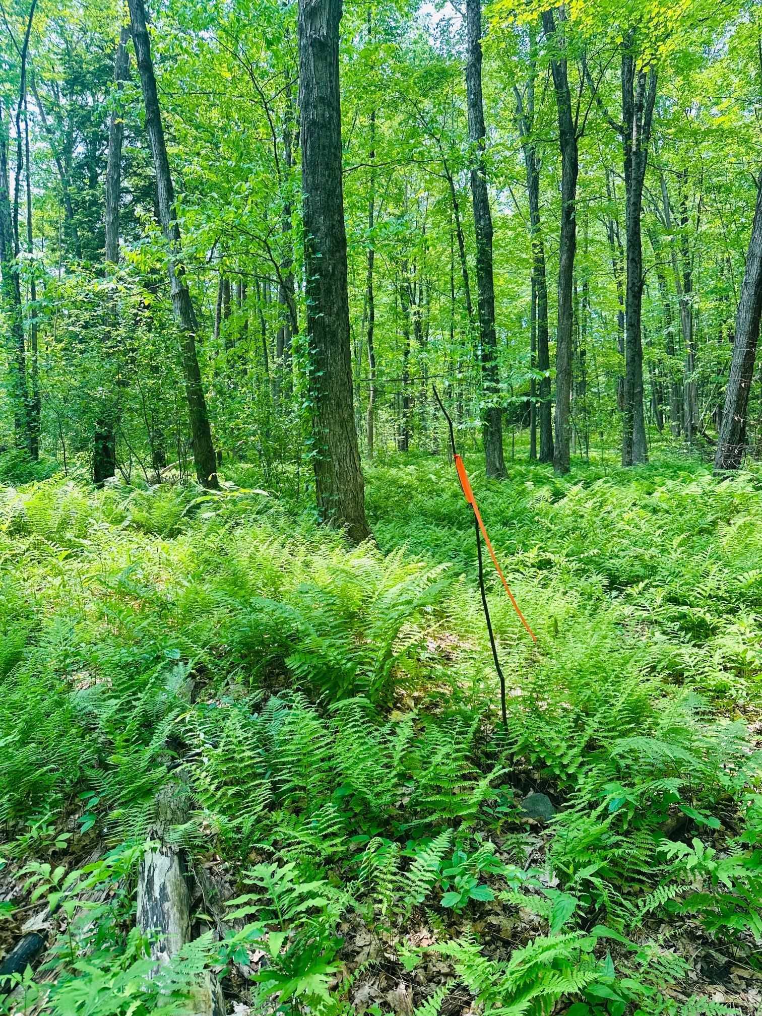 Westminster, VT 05158,123 Rte 5