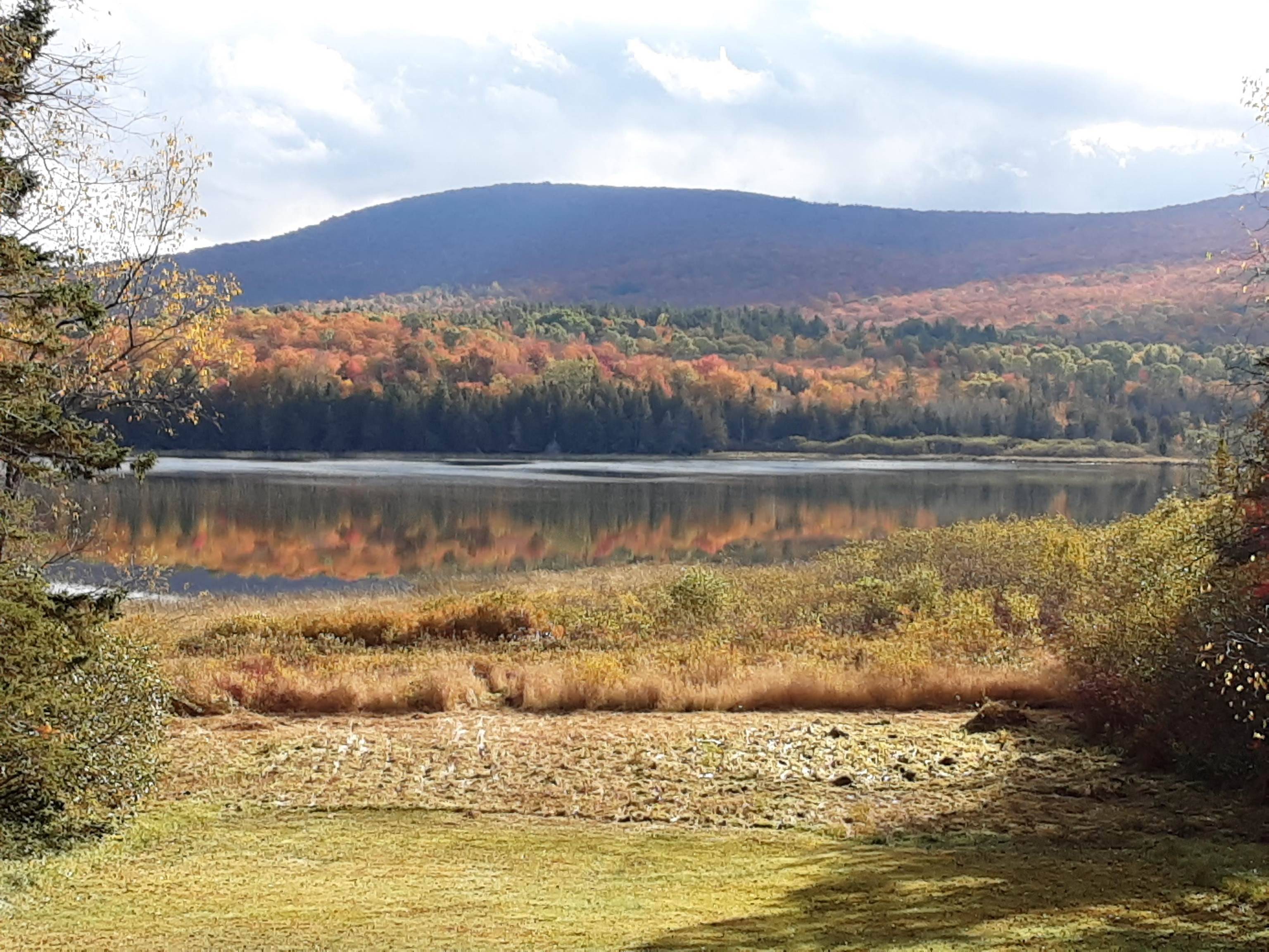 Wheelock, VT 05851,77 & 87 Flagg Pond RD