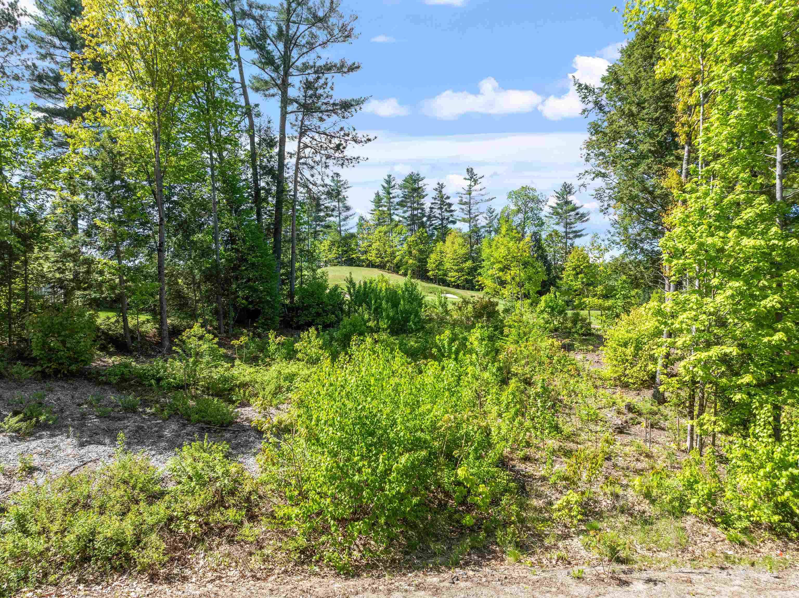 Thornton, NH 03285,00 Edgewater LN