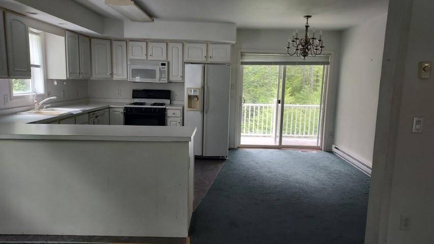 Readsboro, VT 05350,1040 Rue Madeline RD