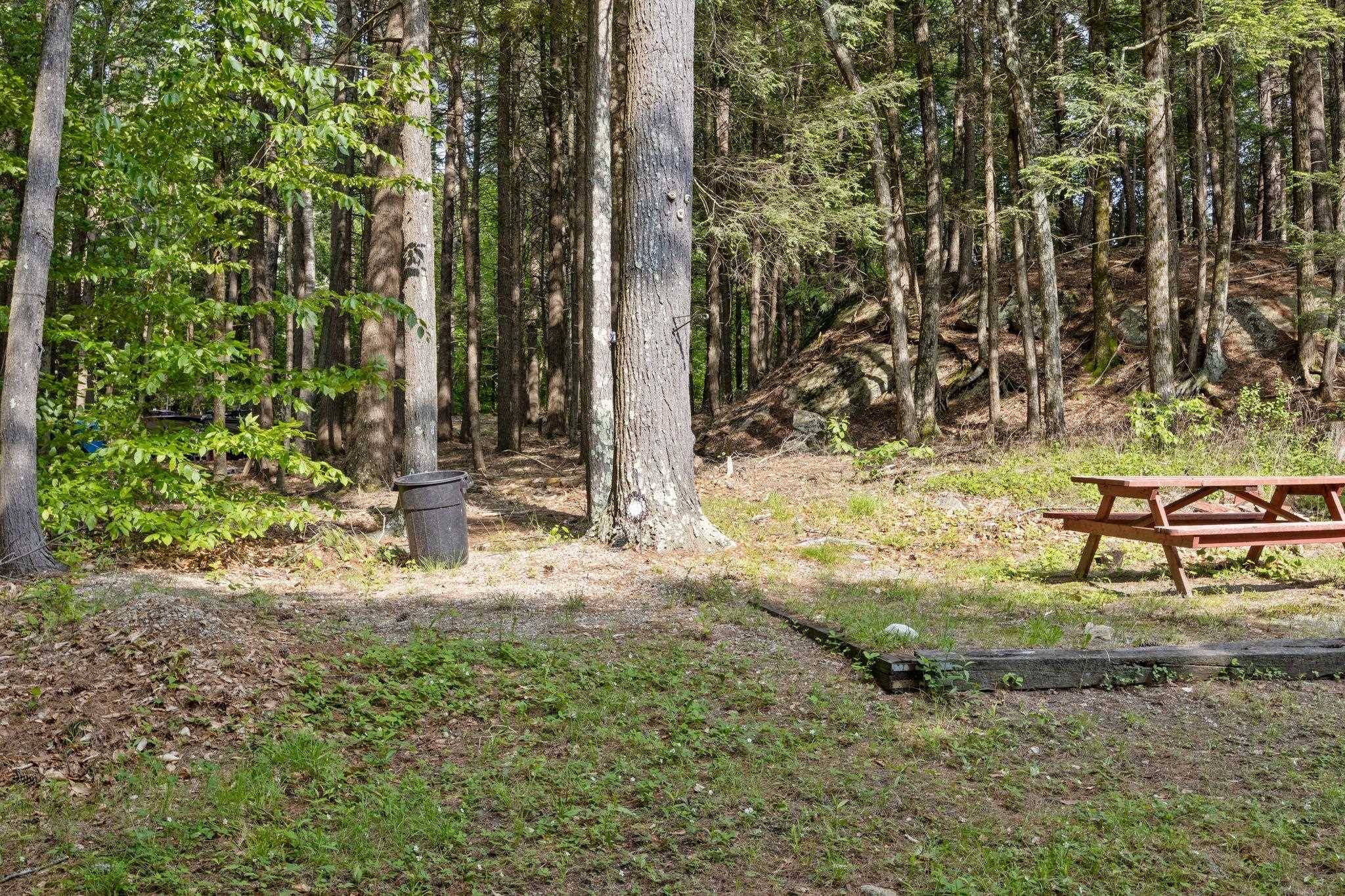 Northwood, NH 03261,87 Lower Camp RD