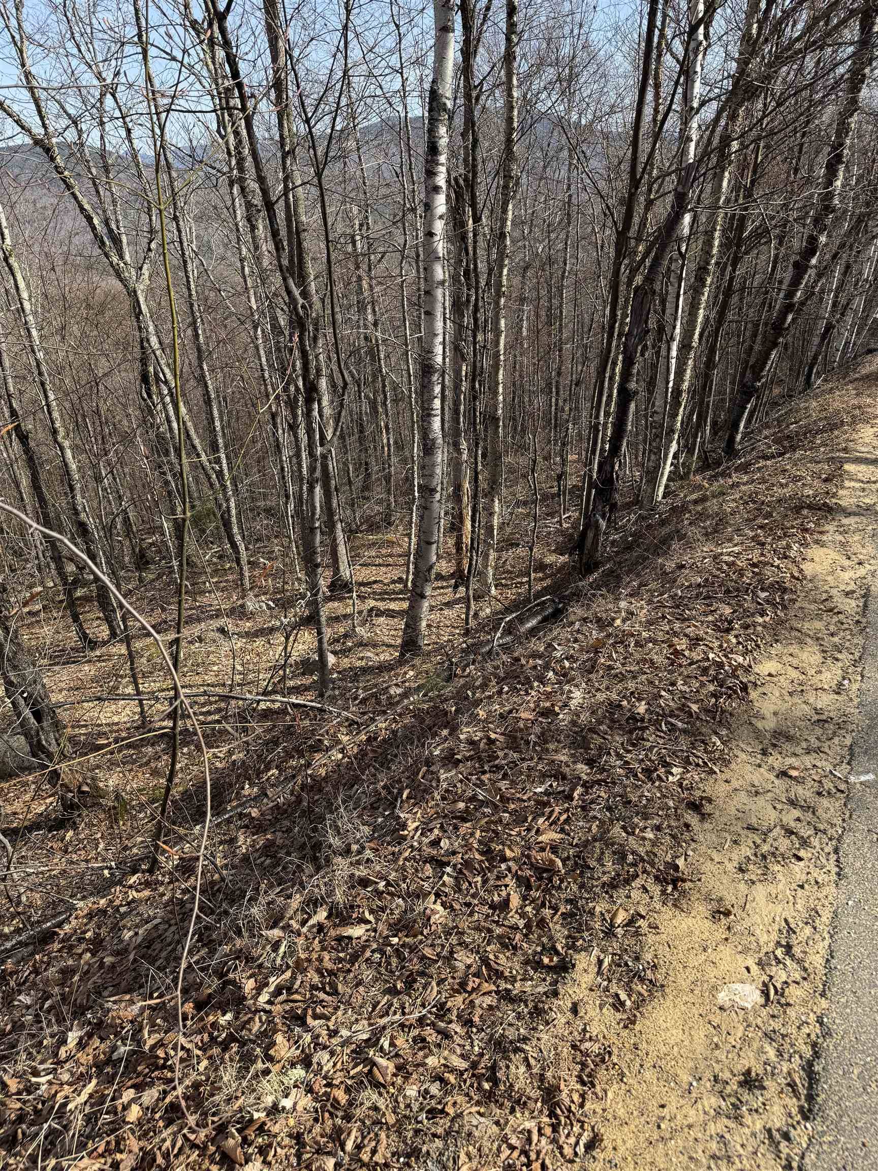 Campton, NH 03223,0 Summit DR