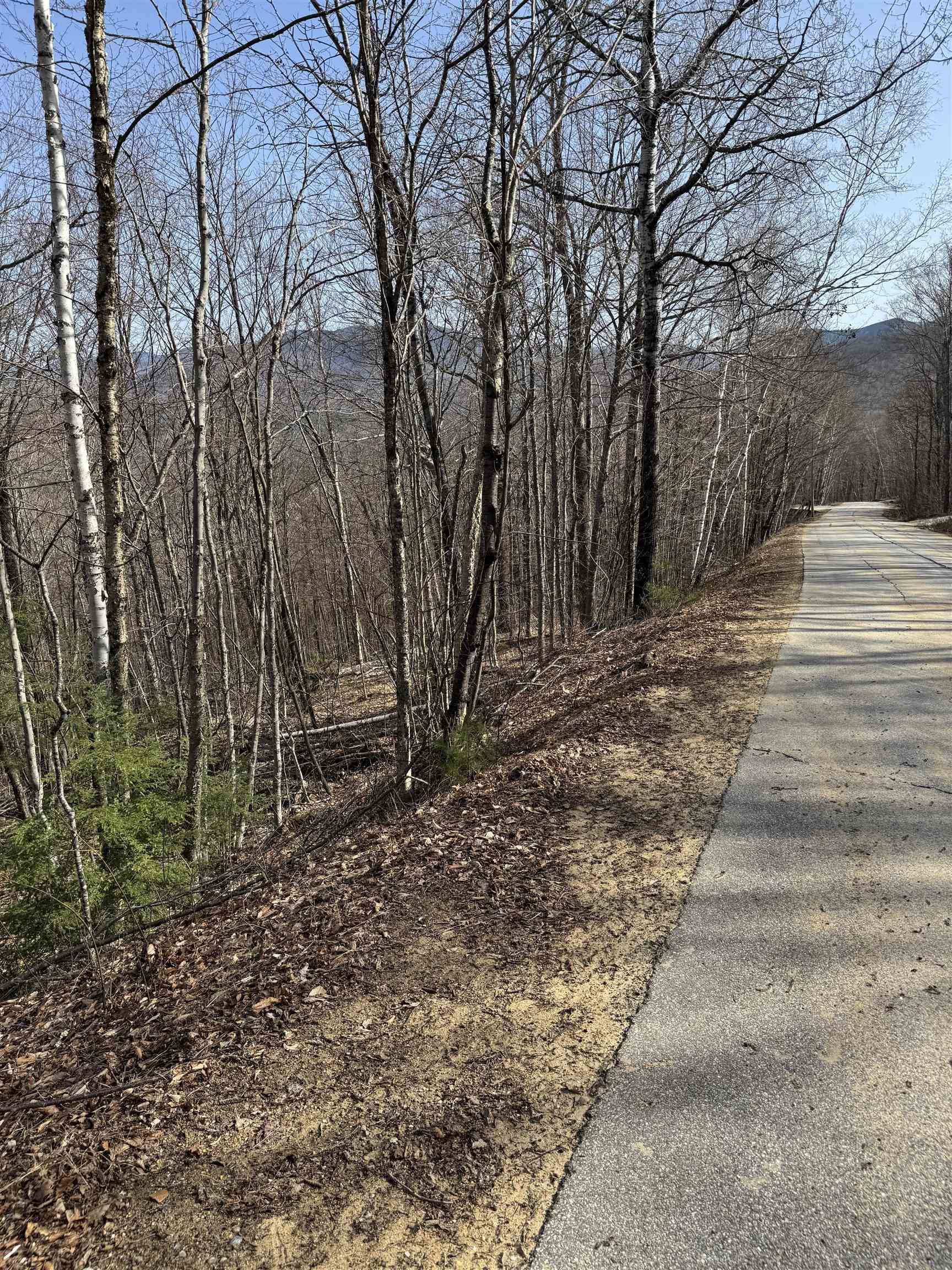 Campton, NH 03223,0 Summit DR