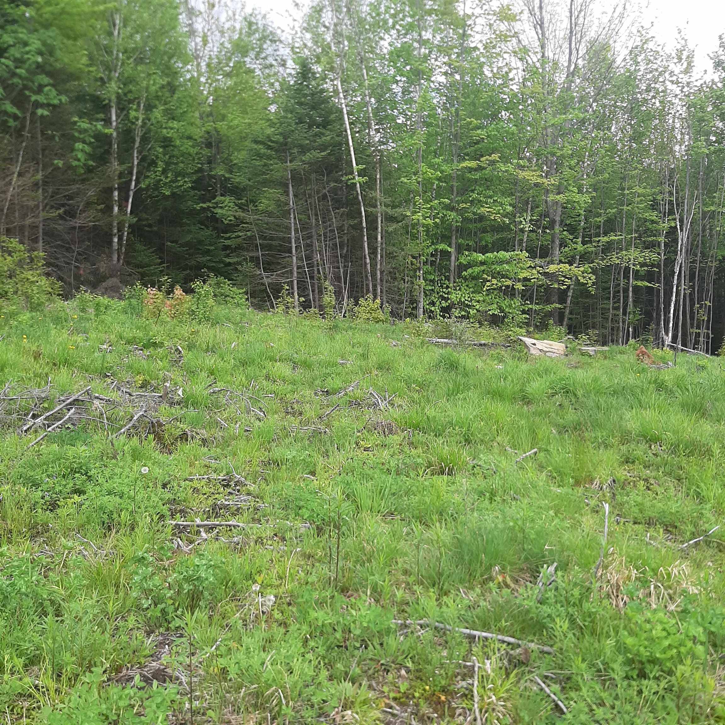 Lot 16 Oakes RD #Lot 16 Columbia, NH 03576
