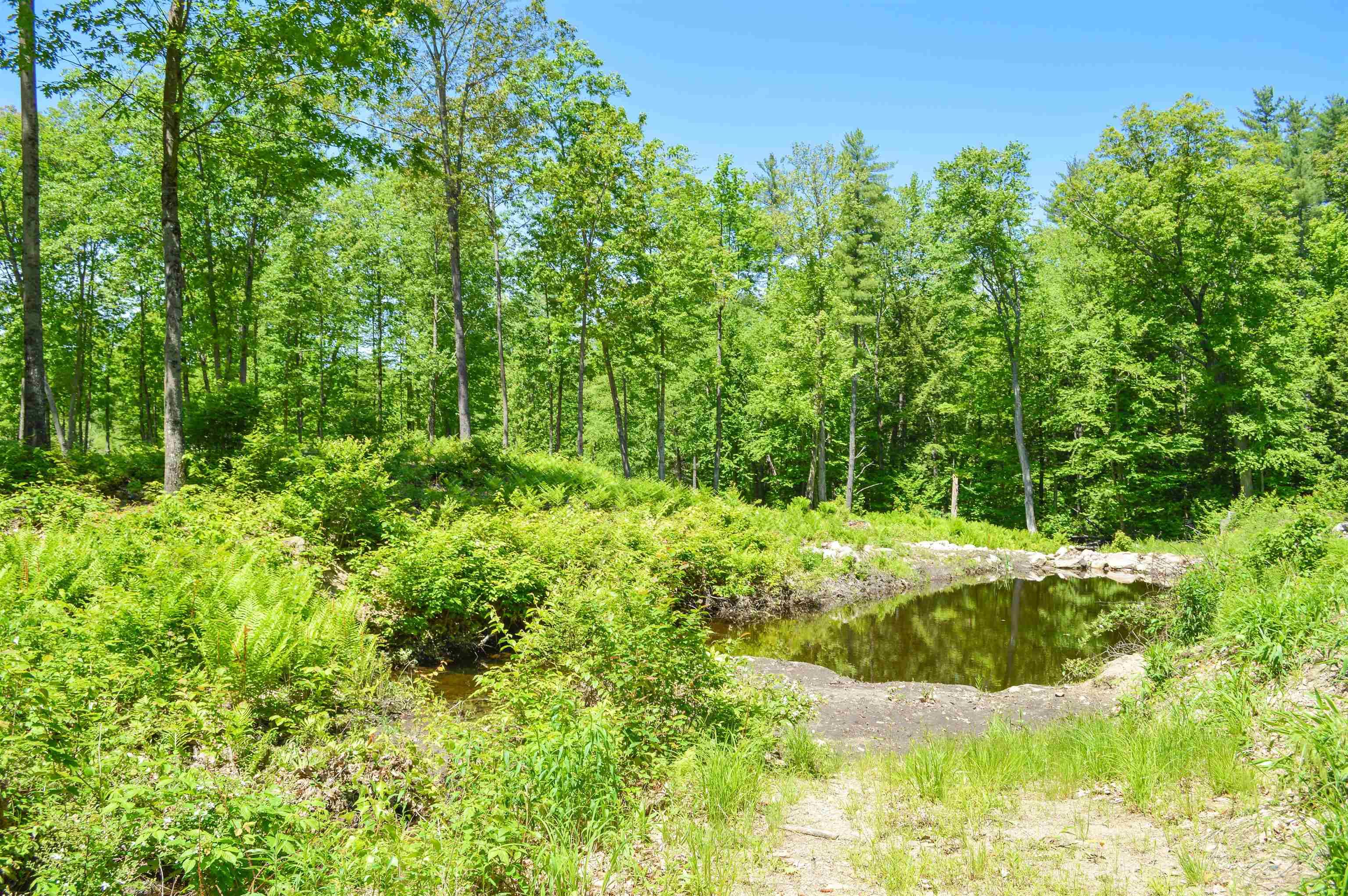 Westmoreland, NH 03467,00 Mulligan ROW
