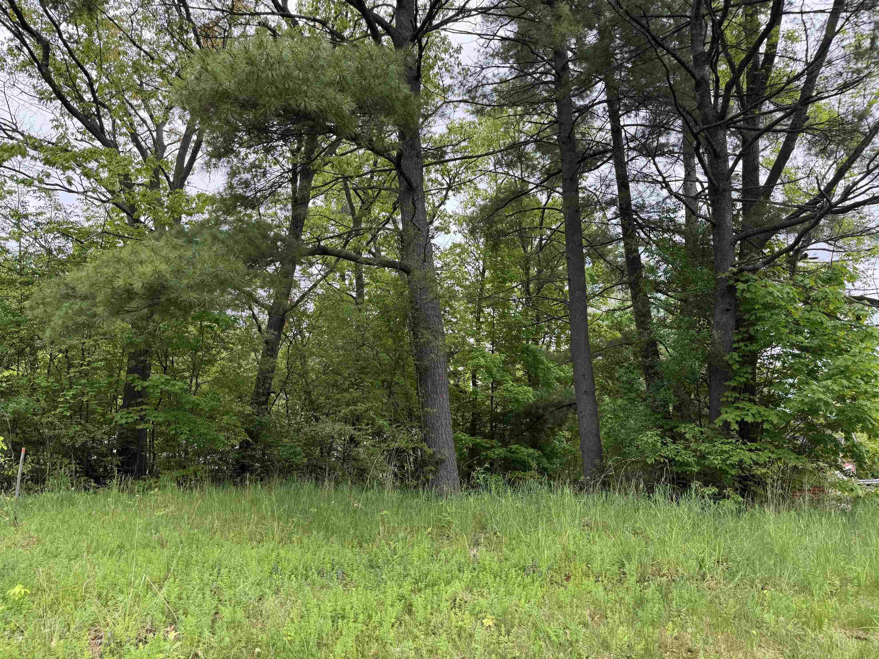 Milton, VT 05468,7 River ST #4