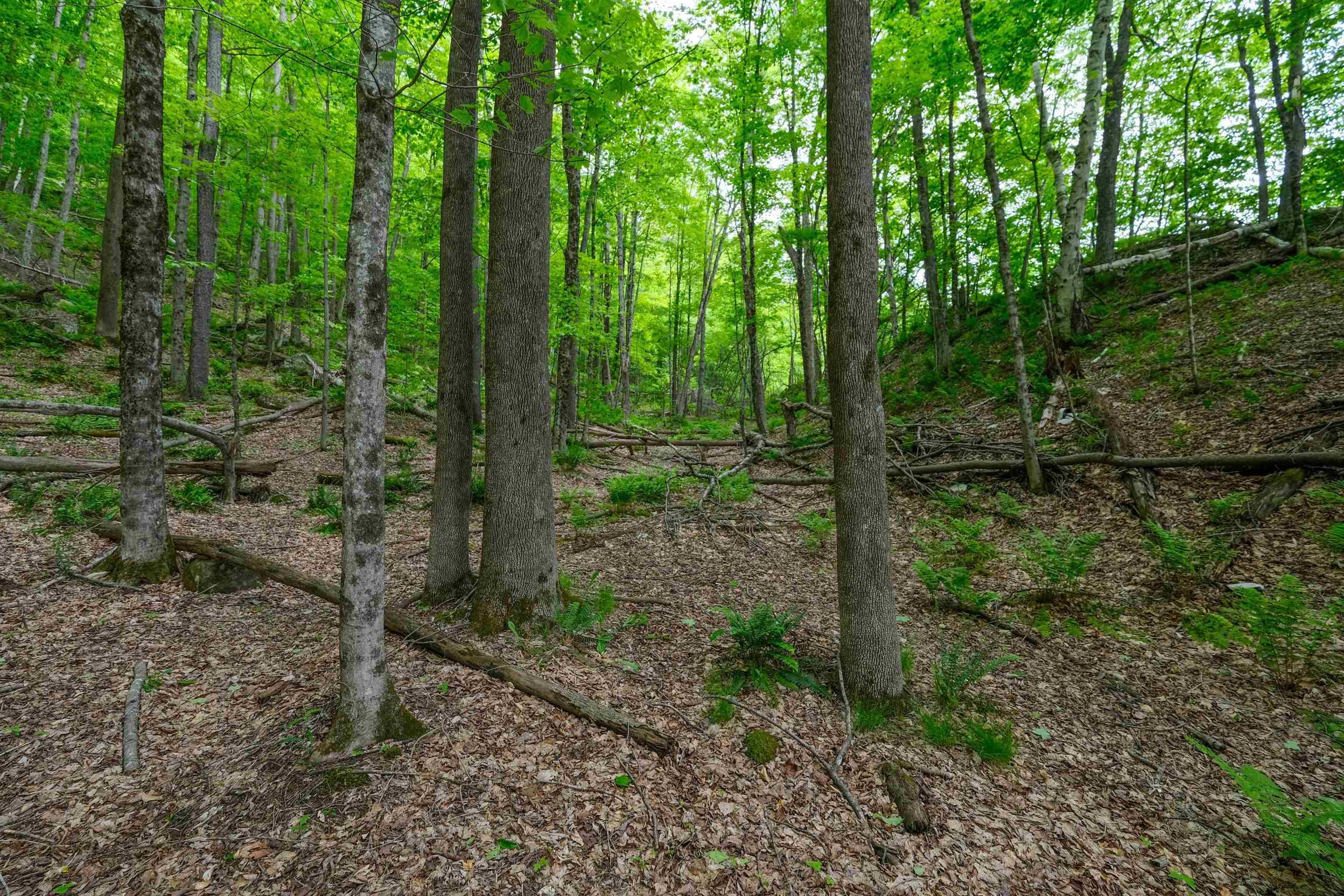 Plymouth, VT 05056,0 East Ash RD