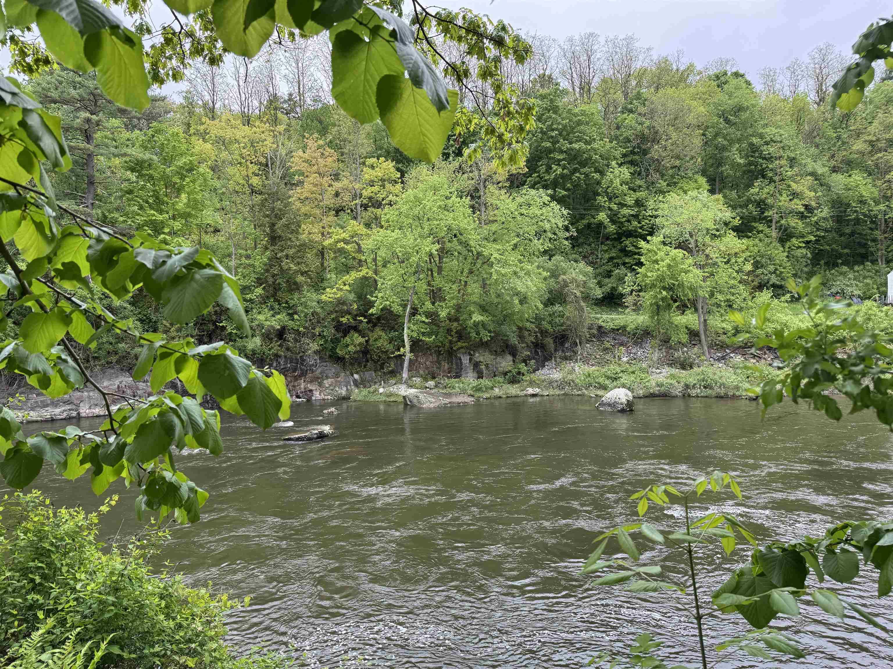 Milton, VT 05468,7 River ST #6