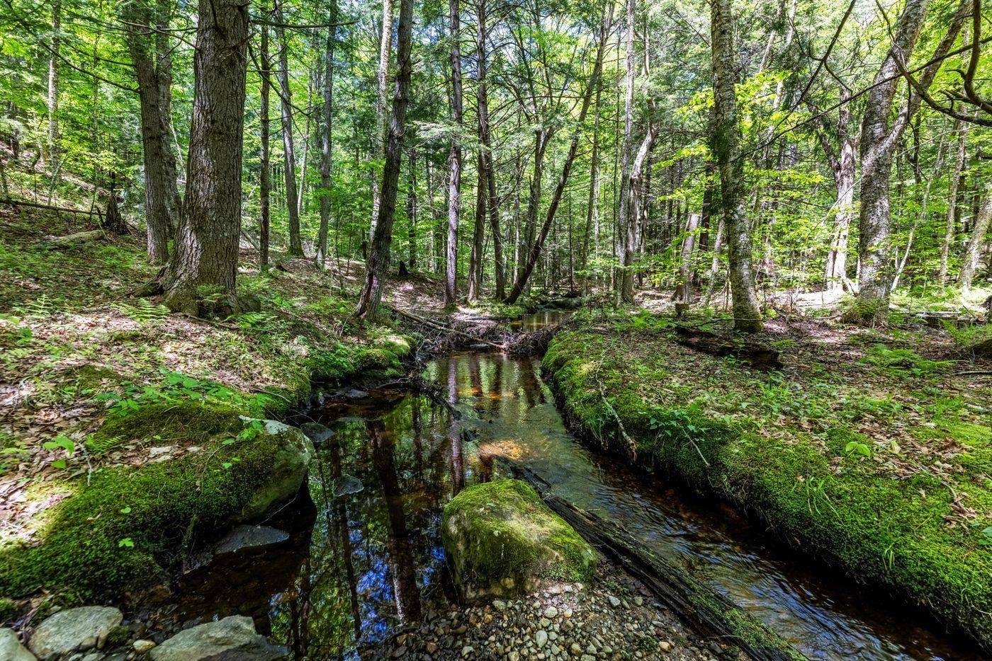 0 Montgomery RD Salisbury, NH 03268