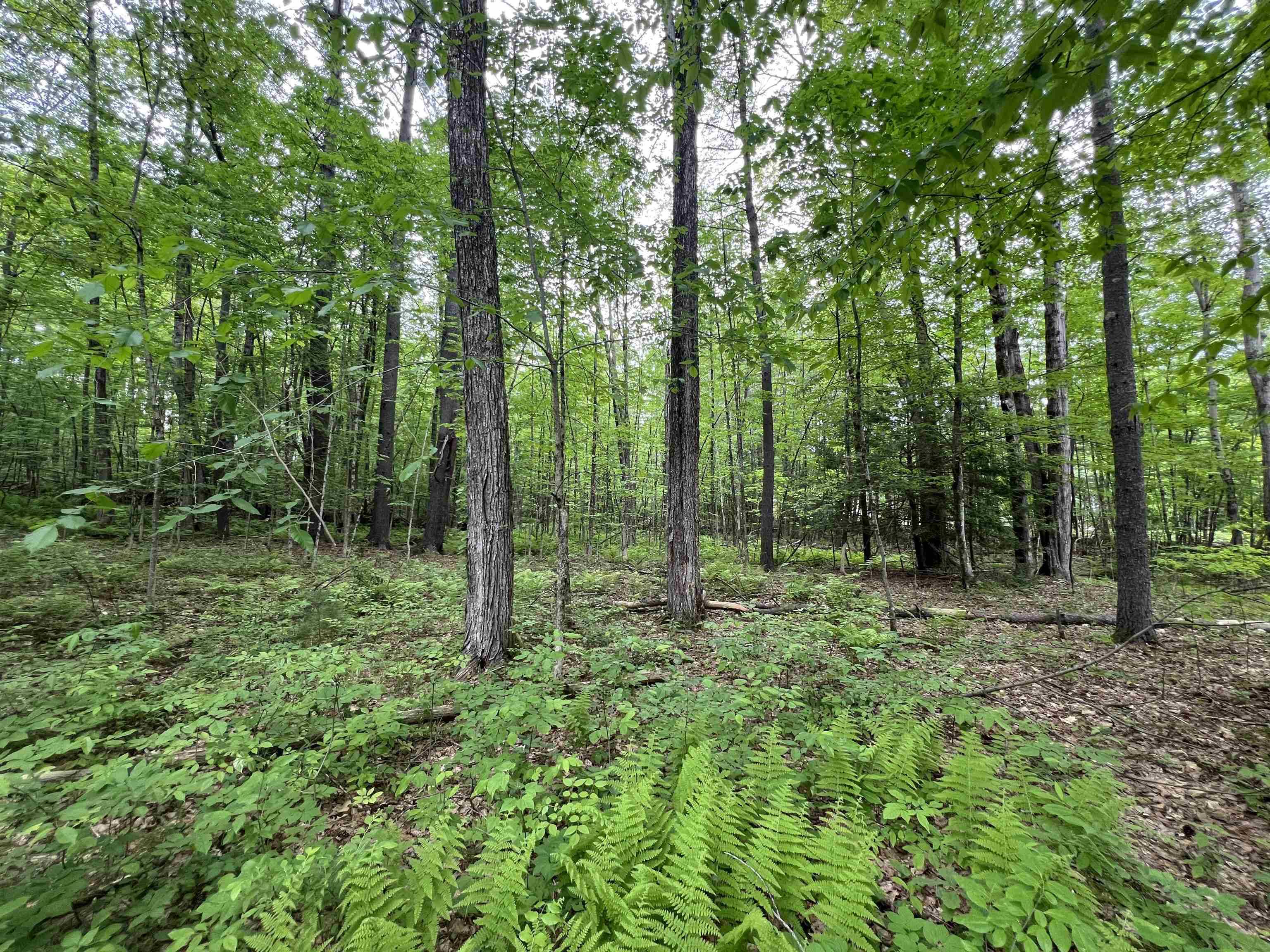 Milford, NH 03055,Ball Hill RD #Lot 51-5-2