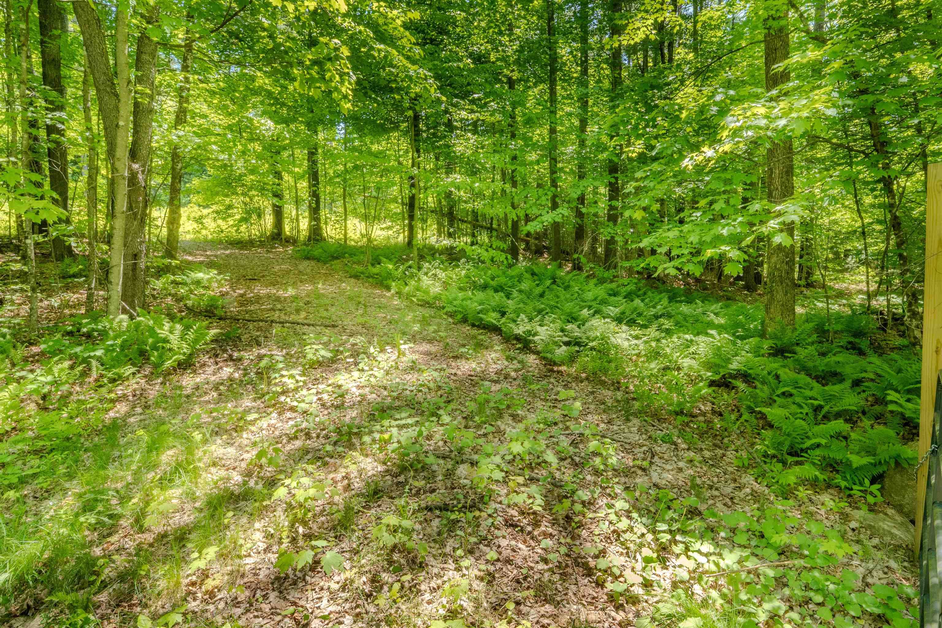 Bethlehem, NH 03574,971 South RD