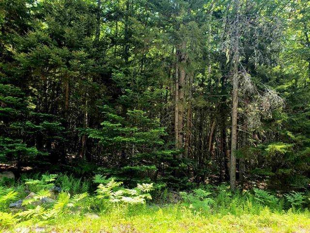 Washington, NH 03280,M14 L56 Taylor CIR