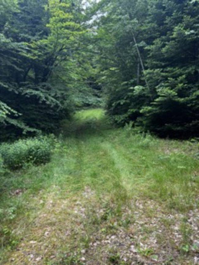 Effingham, NH 03882,196 Old Pound RD
