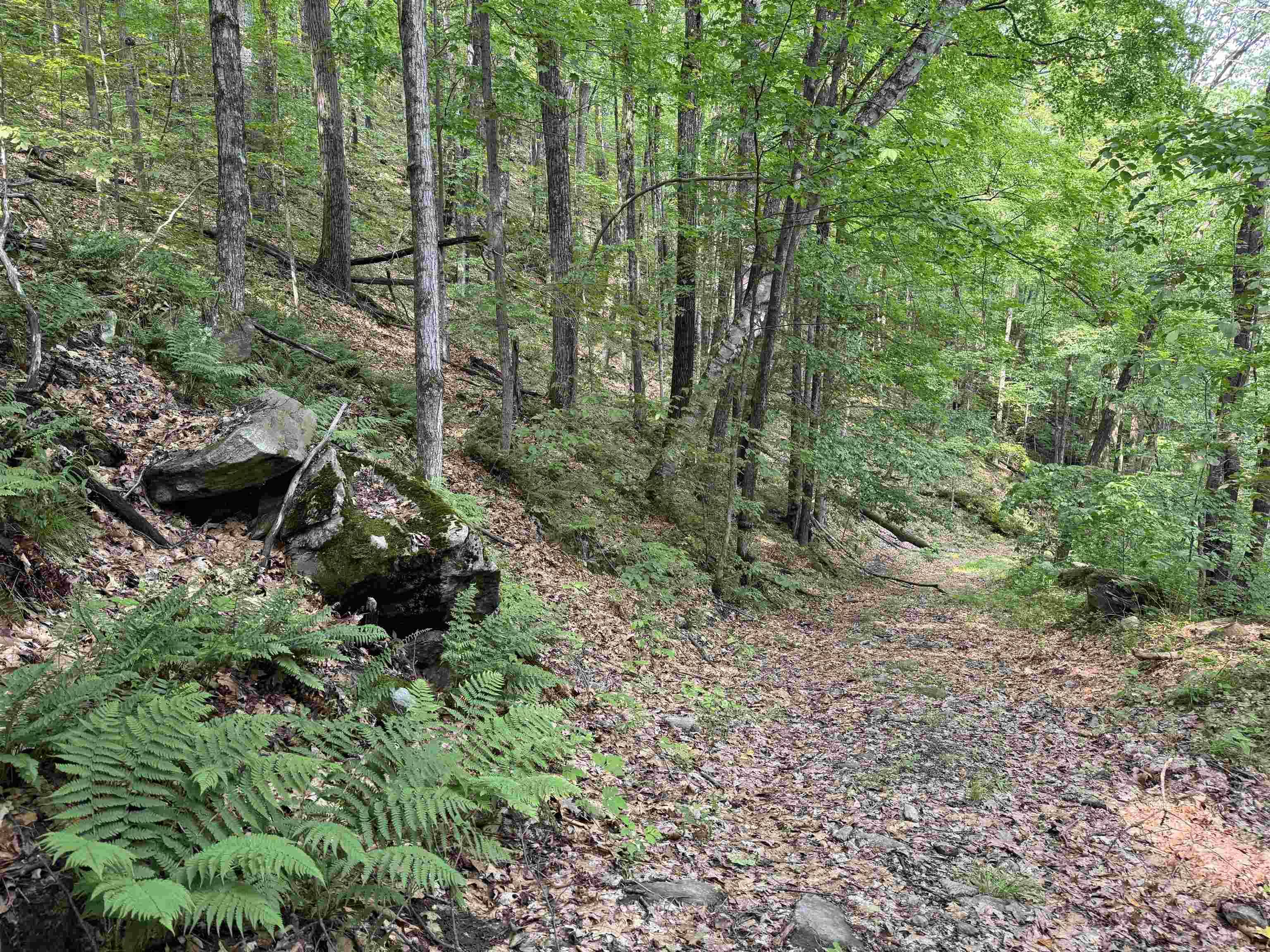 Townshend, VT 05353,0 Ober Hill RD