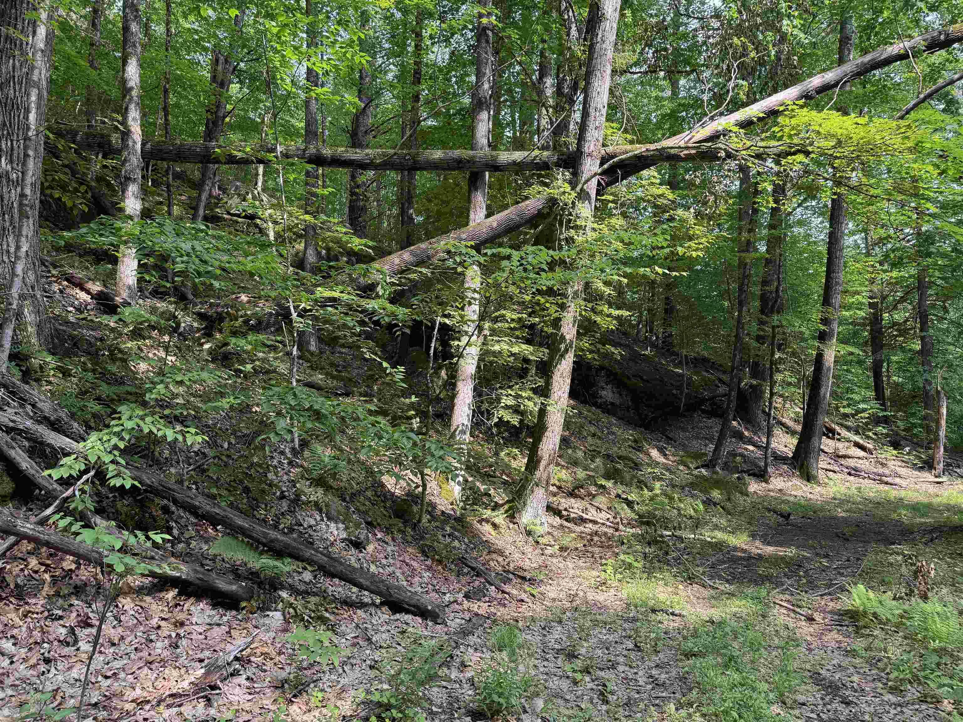 Townshend, VT 05353,0 Ober Hill RD