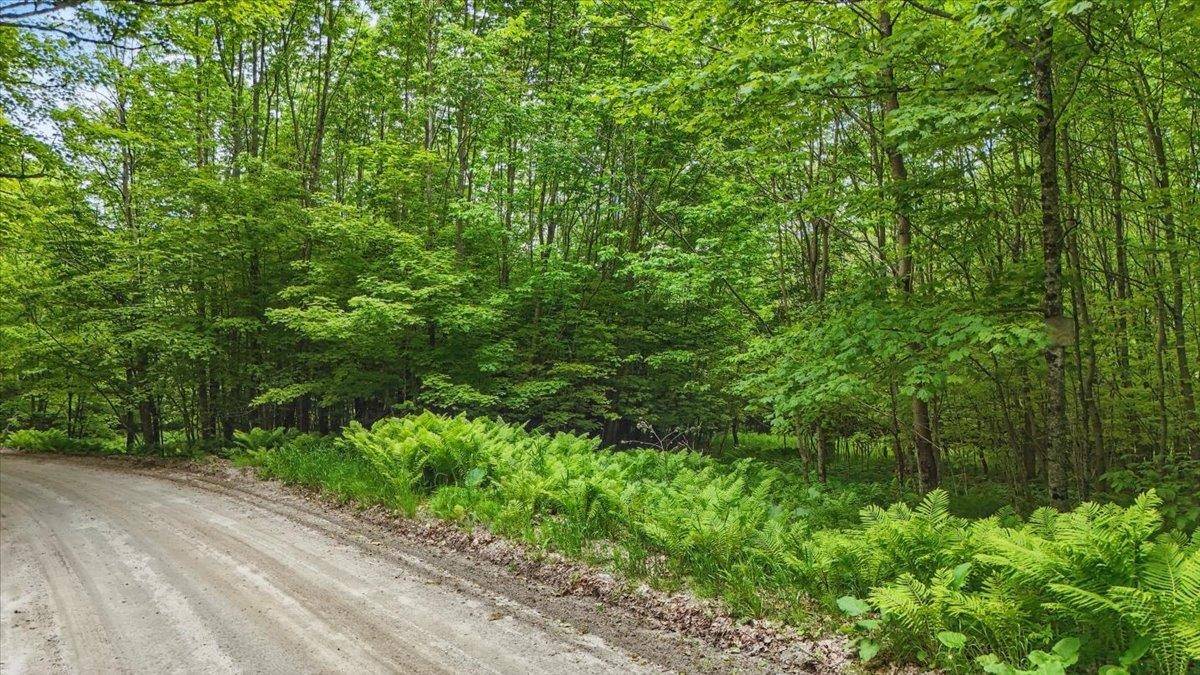 Plainfield, VT 05667,TBD Lot 2 Woodcock RD