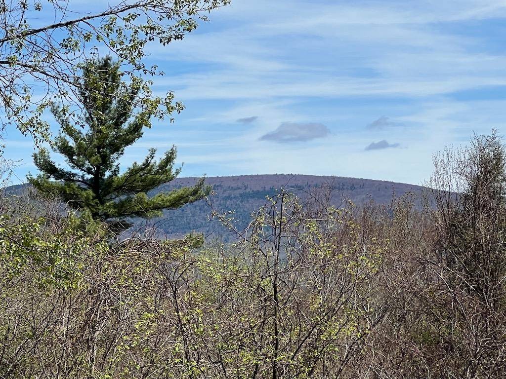 Arlington, VT 05250,0 Lois LN