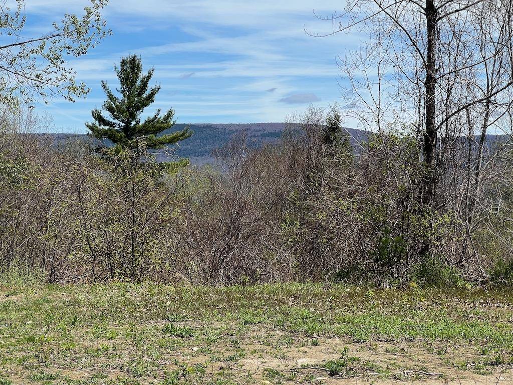 Arlington, VT 05250,0 Lois LN