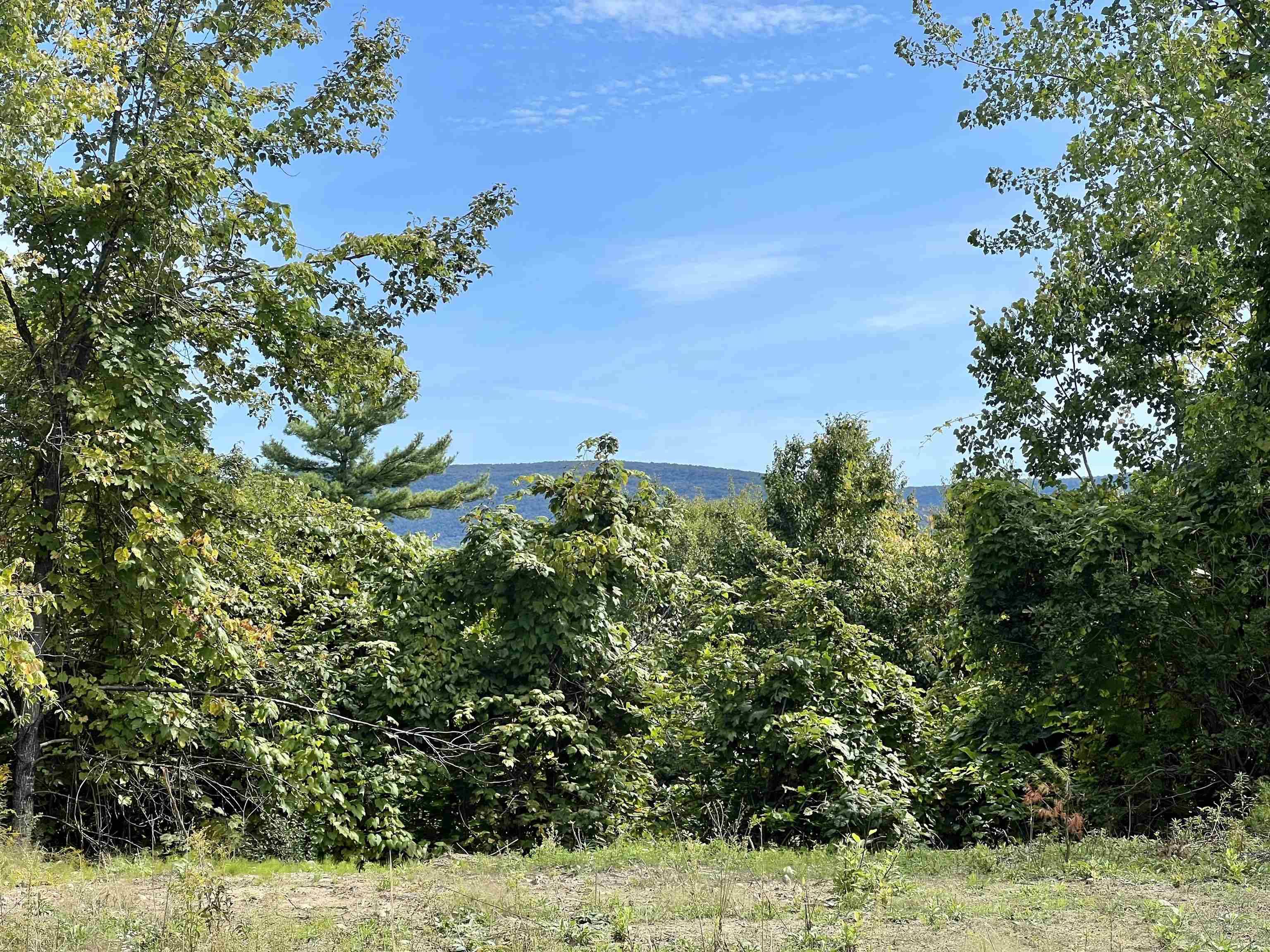 Arlington, VT 05250,0 Lois LN