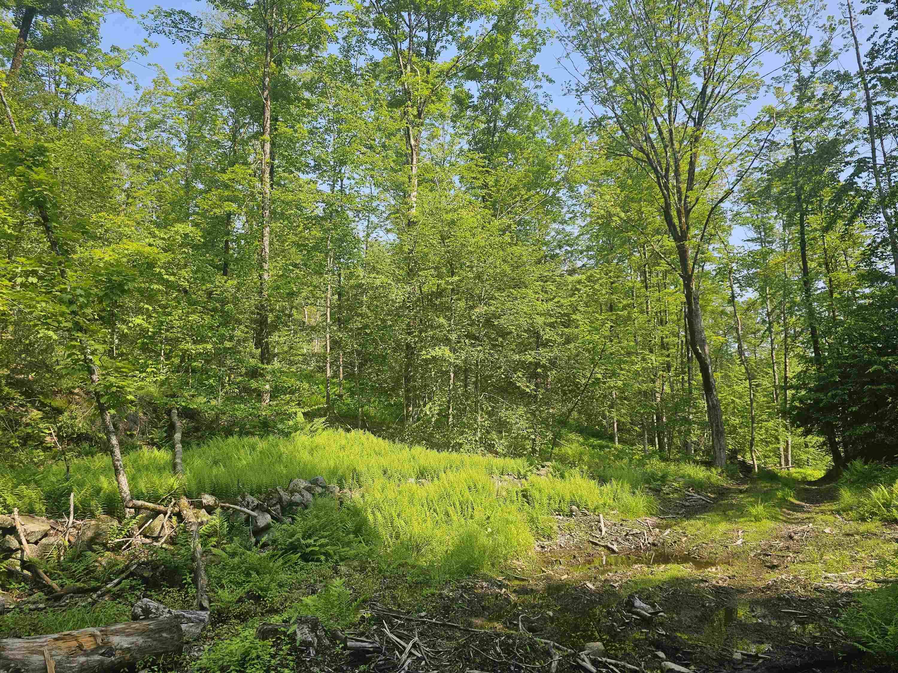 Chesterfield, NH 03462,0 Stones Mill RD