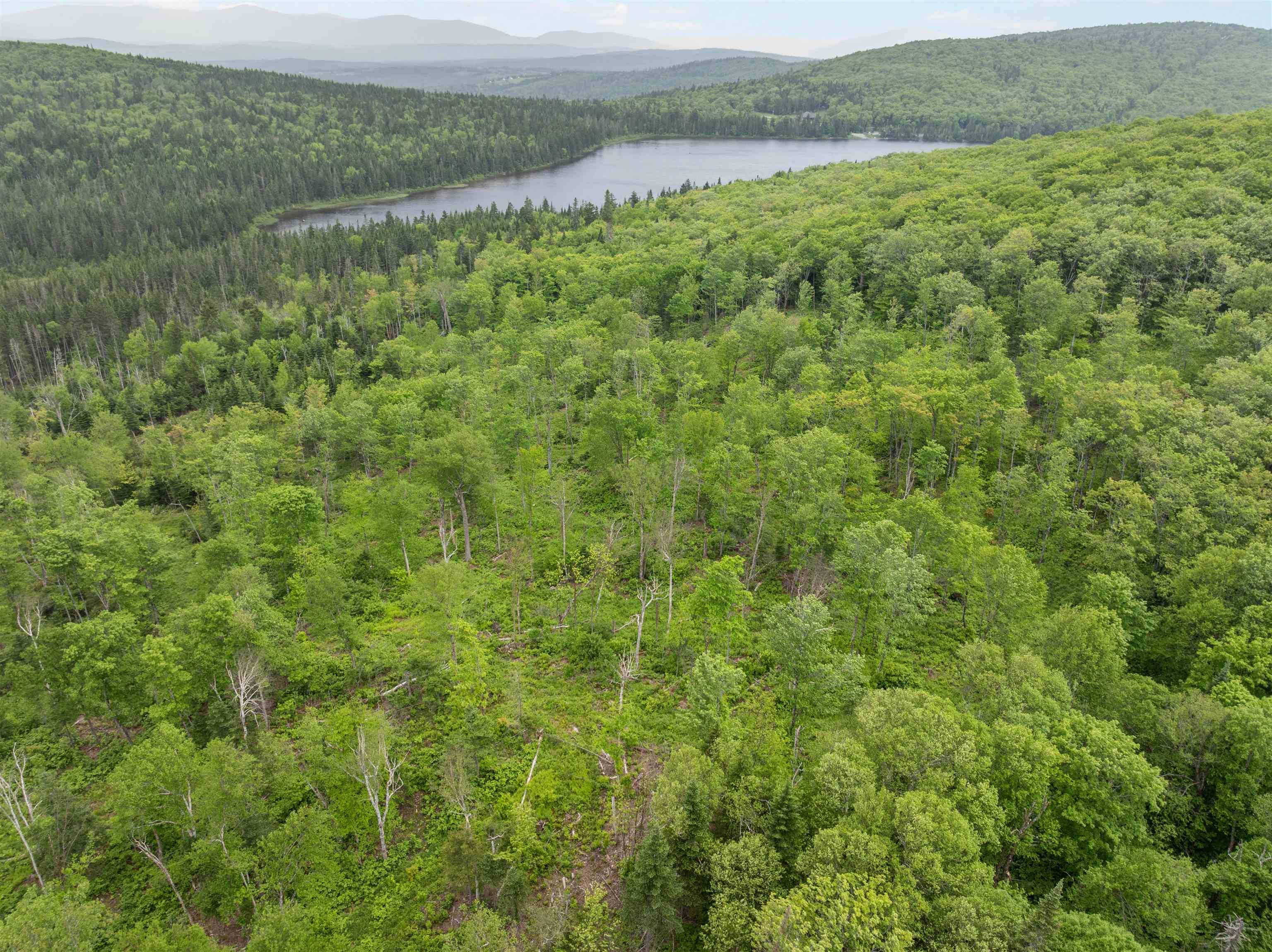 87 Diamond View RD Stewartstown, NH 03576
