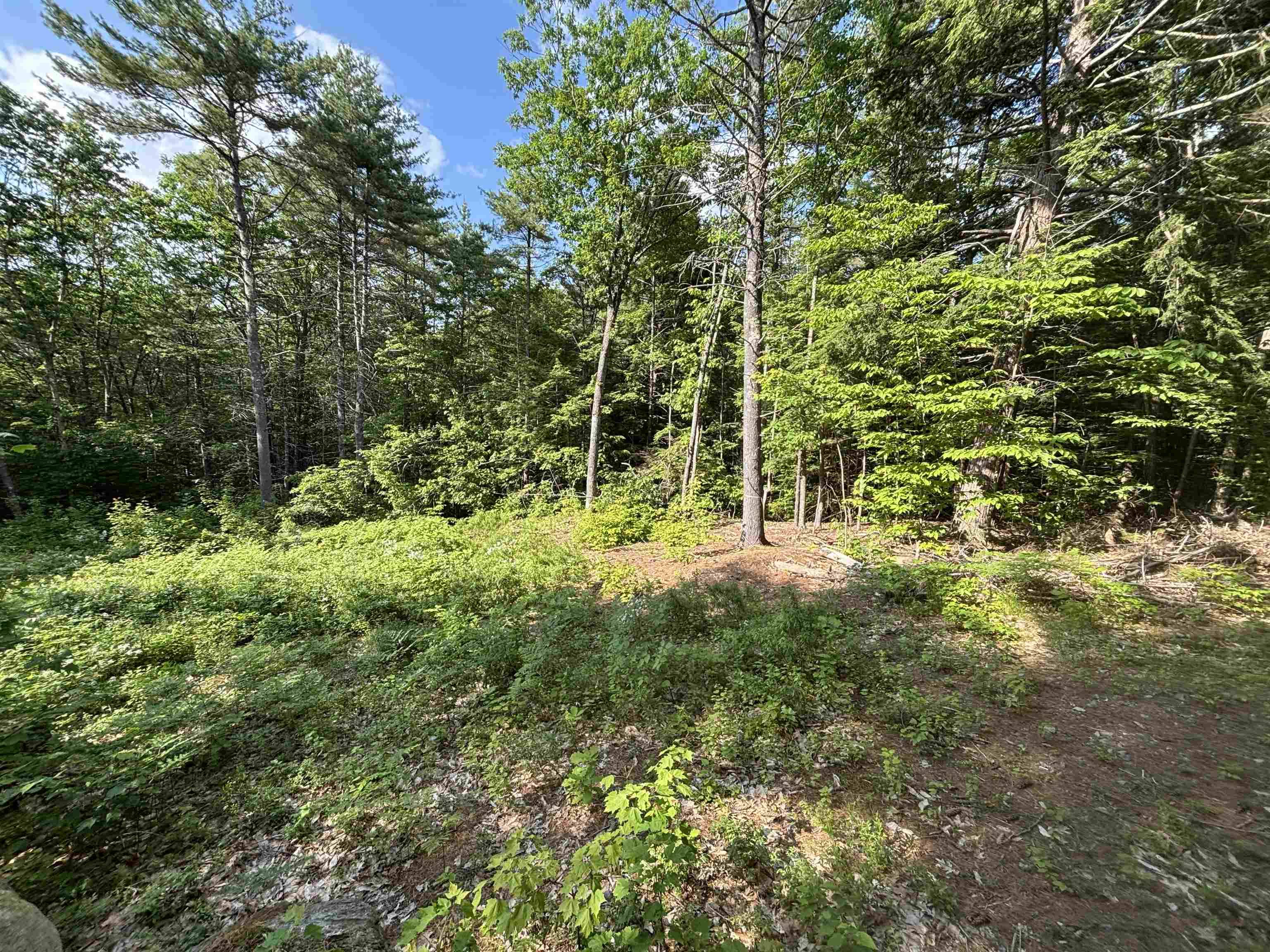 Conway, NH 03813,00 Davis Hill RD #5-2
