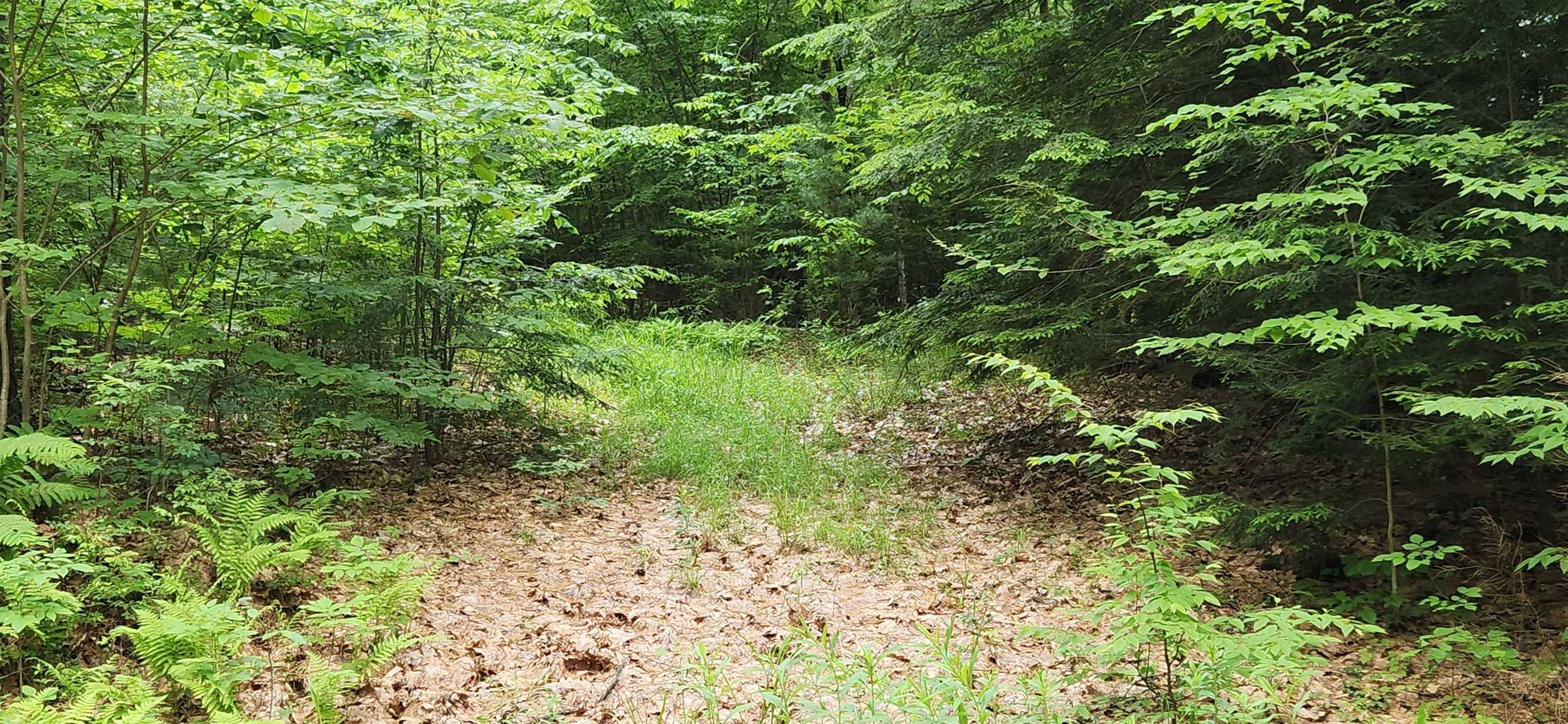 Swanzey, NH 03446,0 Oliver Hill RD