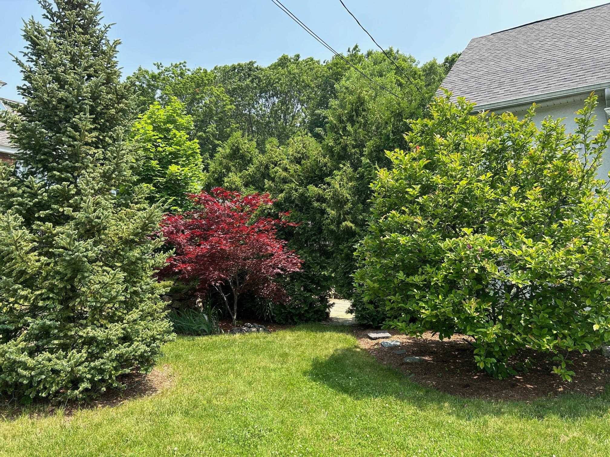 Bedford, NH 03110,9 Woodlawn AVE