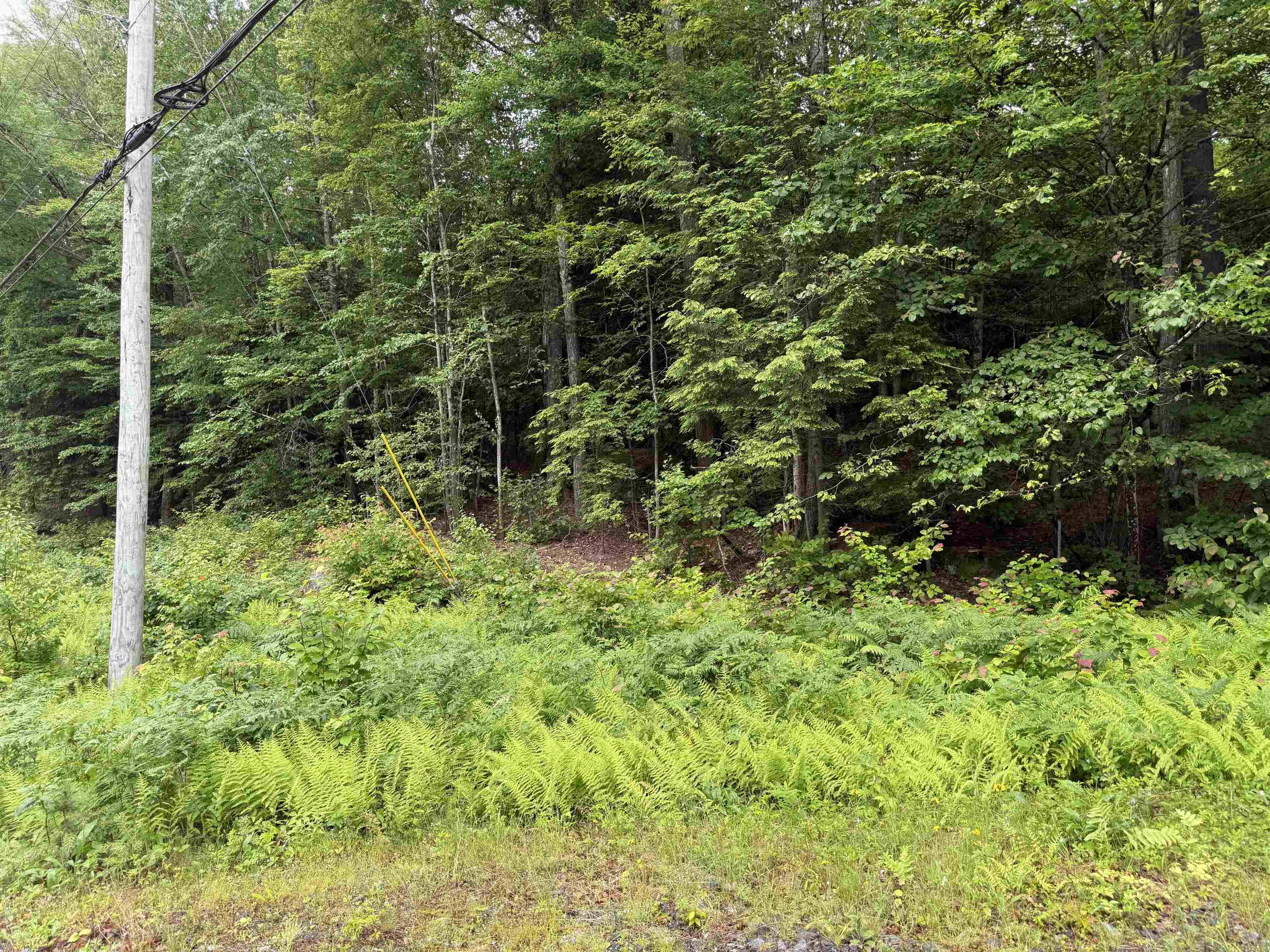 Henniker, NH 03242,540-X9-A Rte. 114