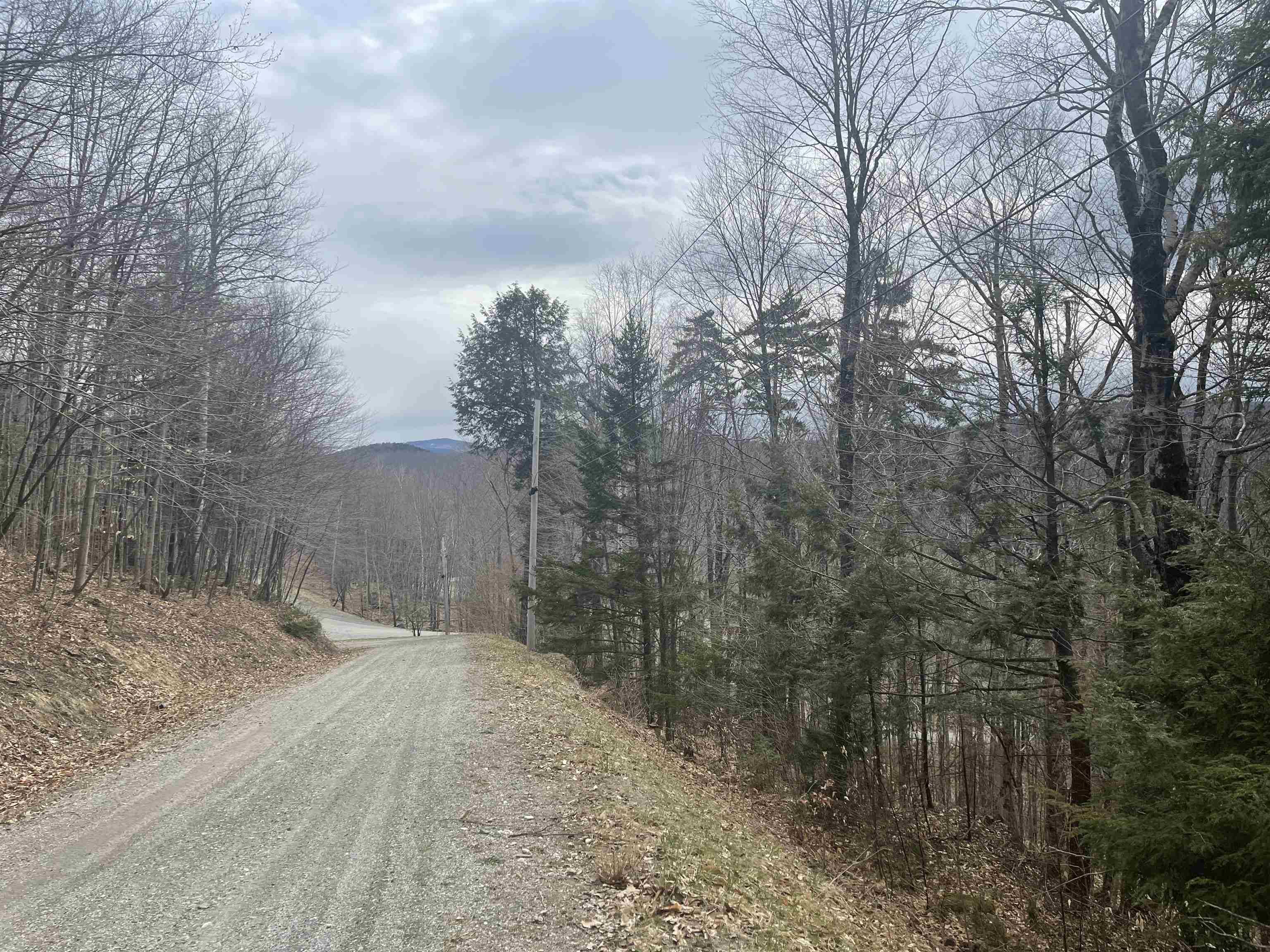 Plymouth, VT 05056,2-49 East Ash RD