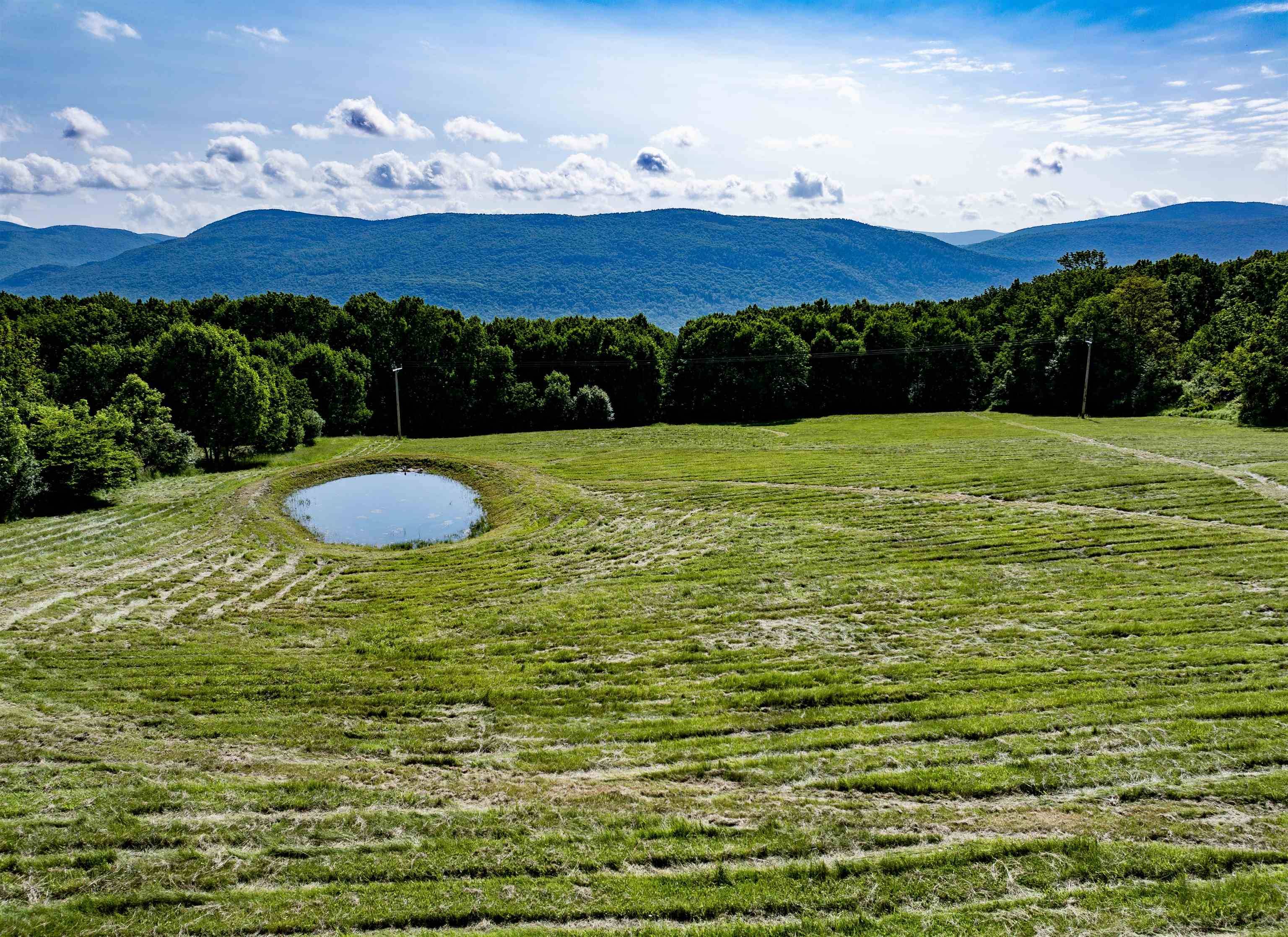 Danby, VT 05739,2500 Colvin Hill RD