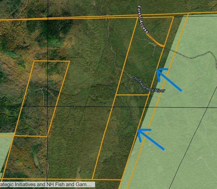 Milan, NH 03588,0 Off Bog Brook RD