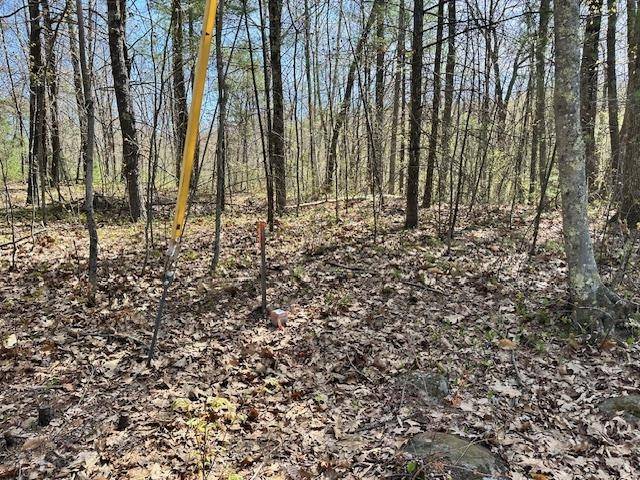 Bow, NH 03304,Lot 40B Quimby RD #40-D