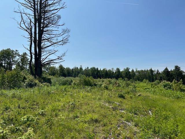 Fitzwilliam, NH 03447,310 NH Route 119