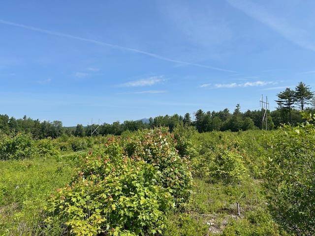 Fitzwilliam, NH 03447,310 NH Route 119