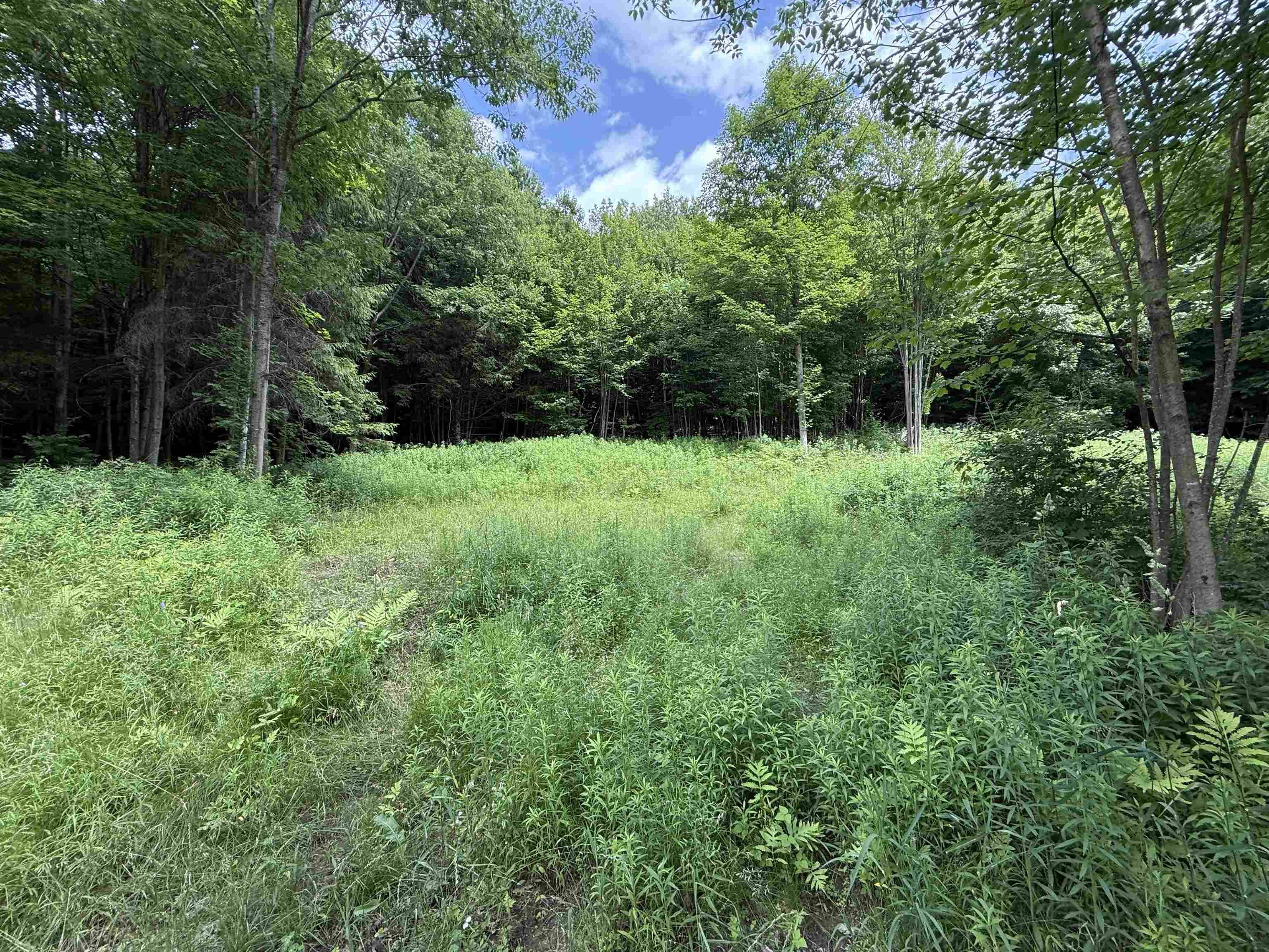 127 Hidden Acres DR Monkton, VT 05469