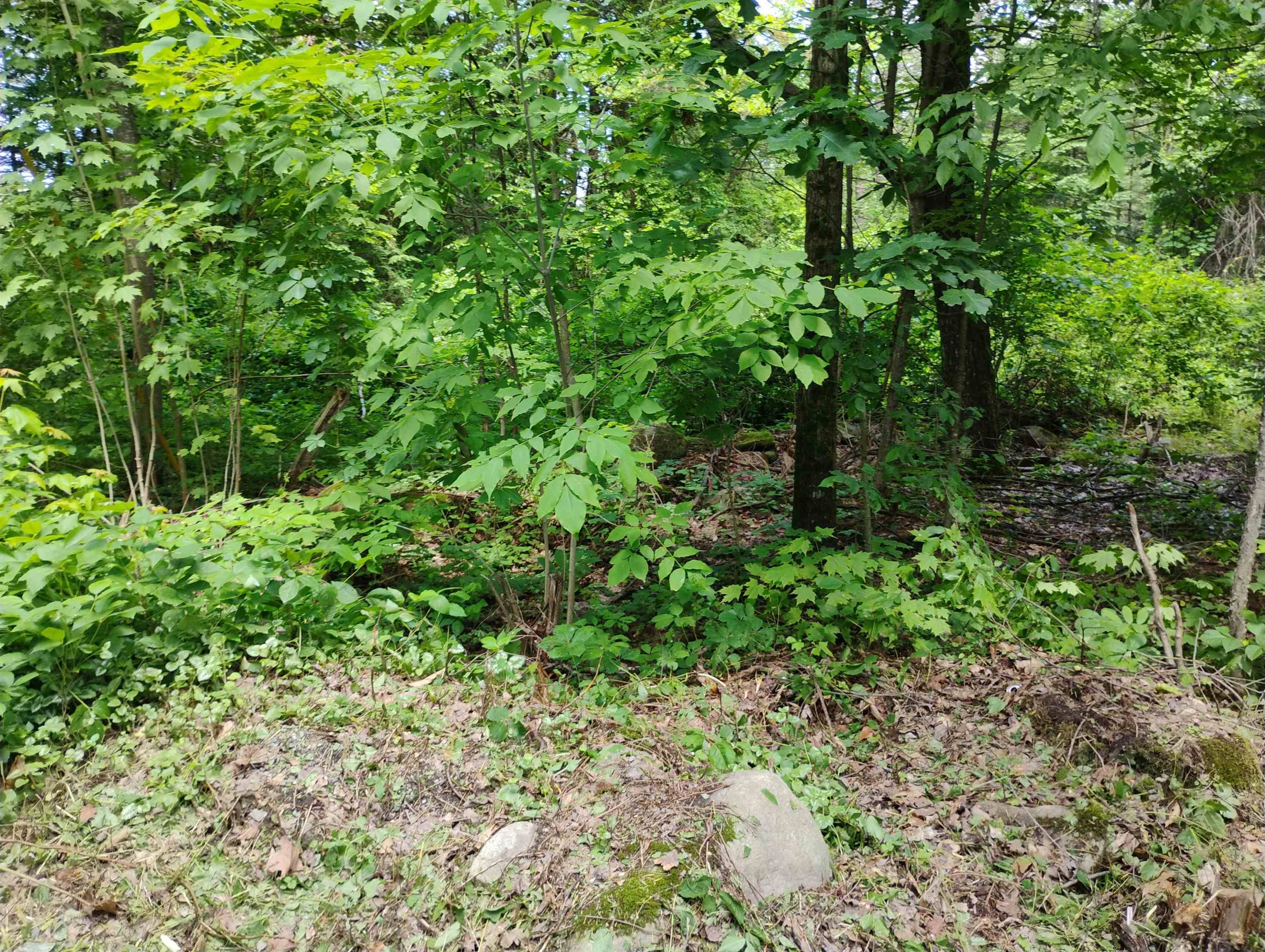 0 Orchard ST #Lot 59 Brattleboro, VT 05301