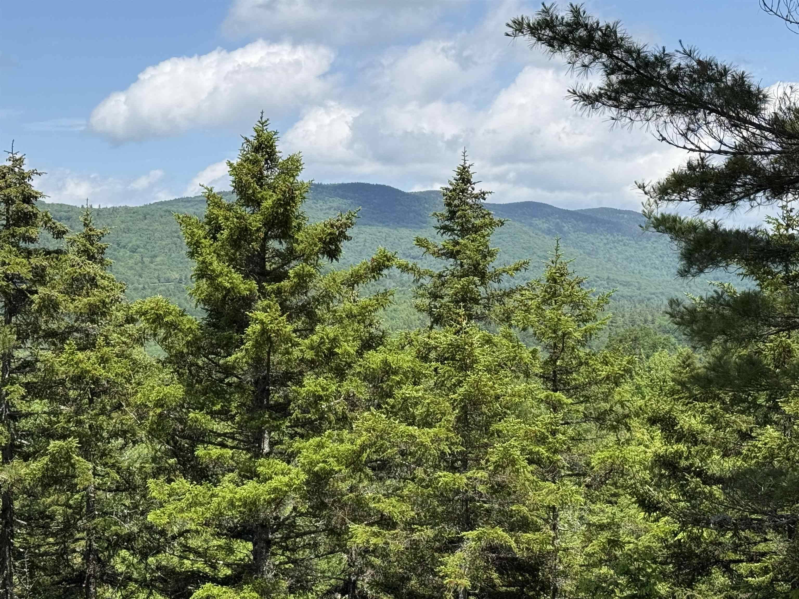 Campton, NH 03223,Lot 15 Kelly WAY