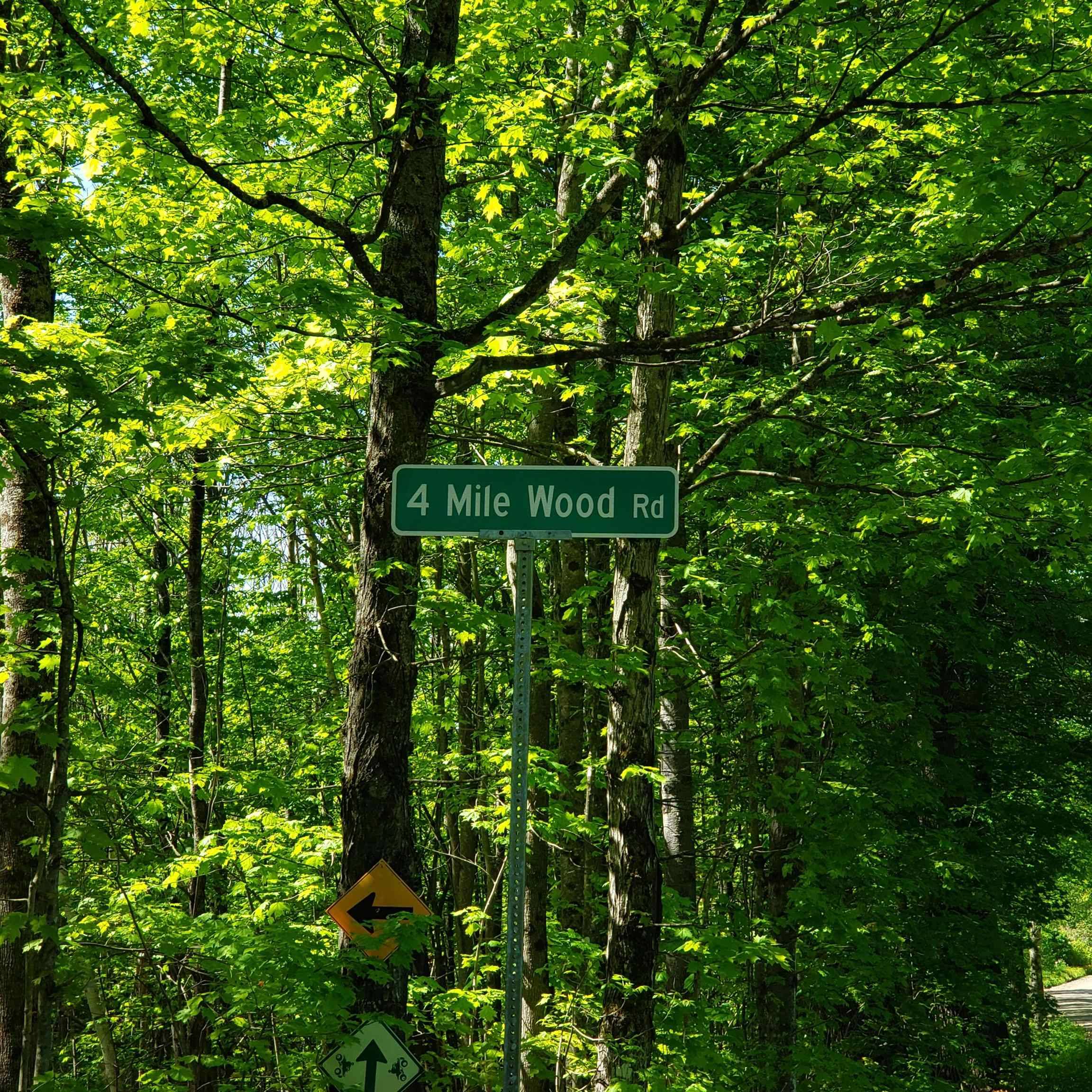 Roxbury, VT 05669,00 Beaver Meadow RD
