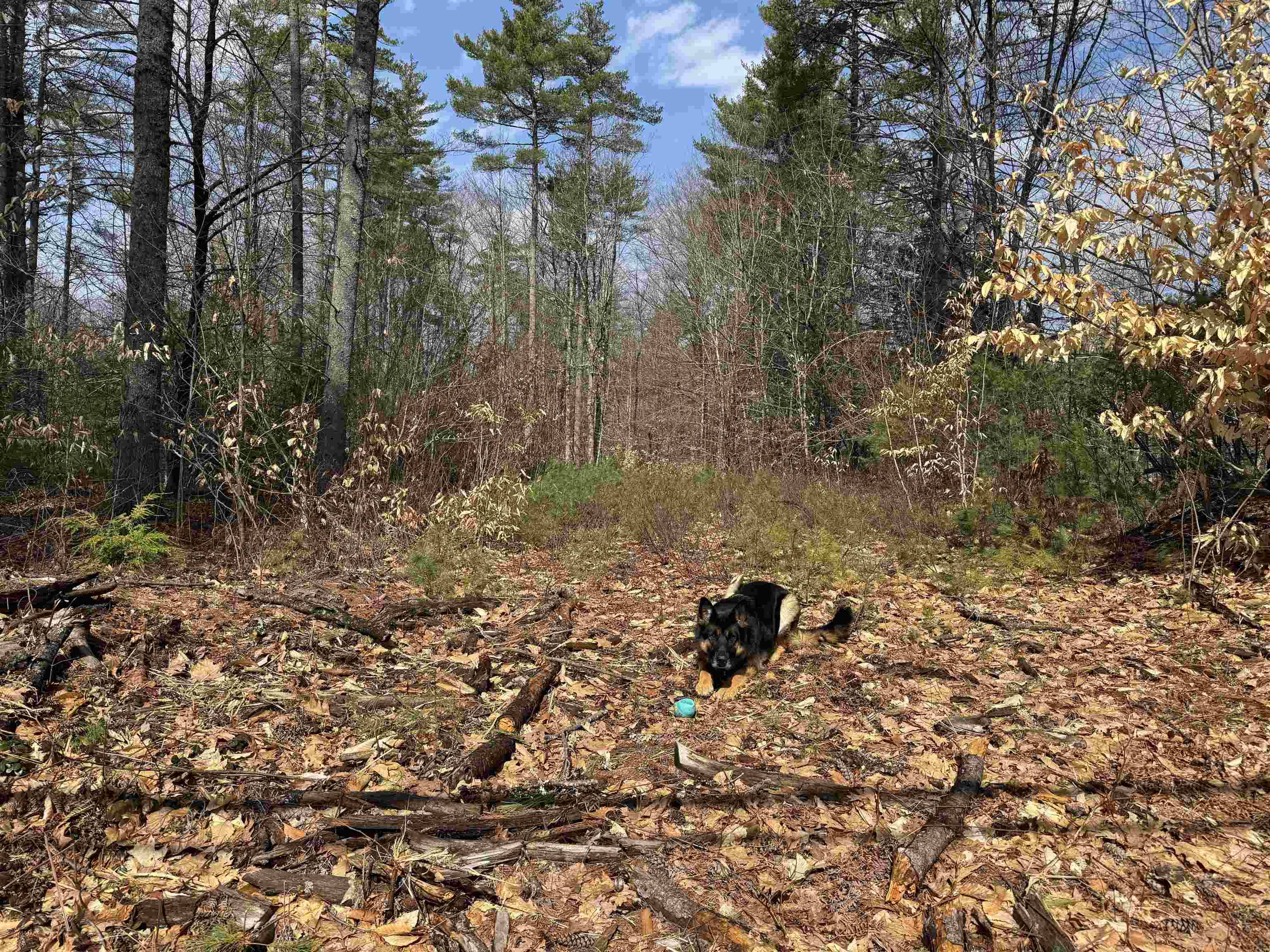 Effingham, NH 03882,0 Green Mountain RD