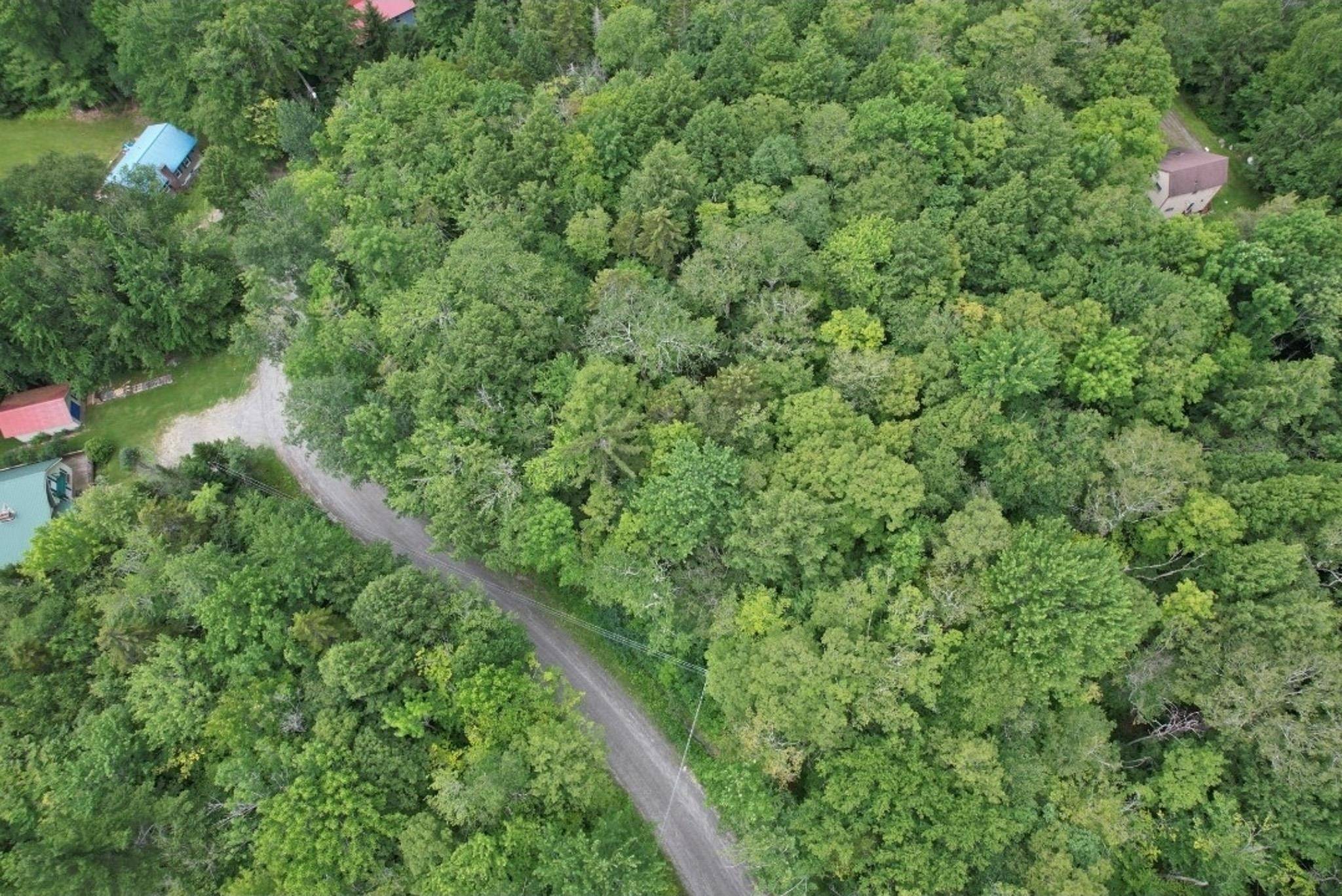 Wardsboro, VT 05355,00 Susan Lynn LN