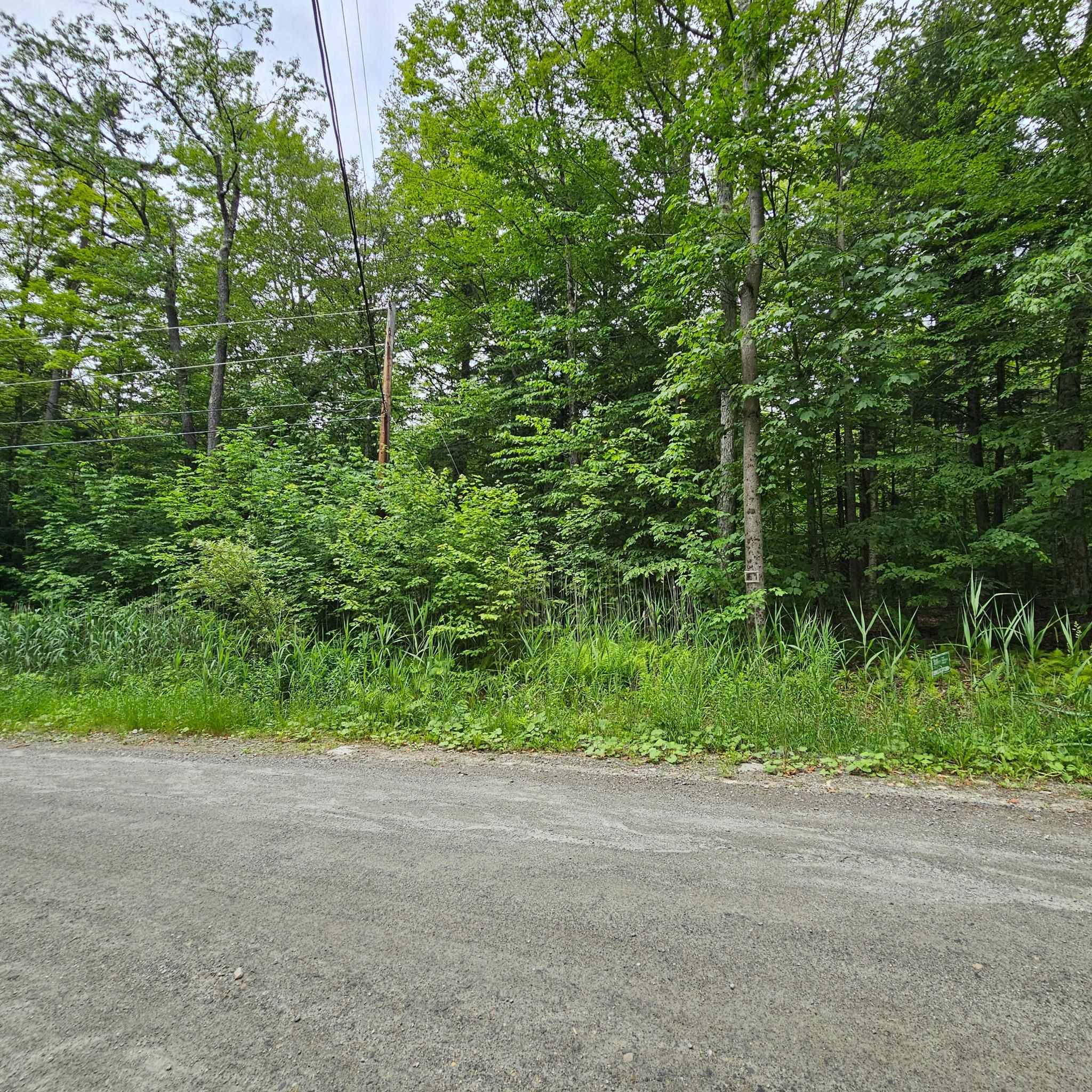 Wardsboro, VT 05355,00 Susan Lynn LN
