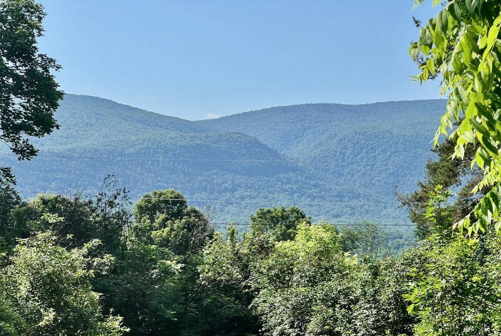 Manchester, VT 05255,92 Coventry LN