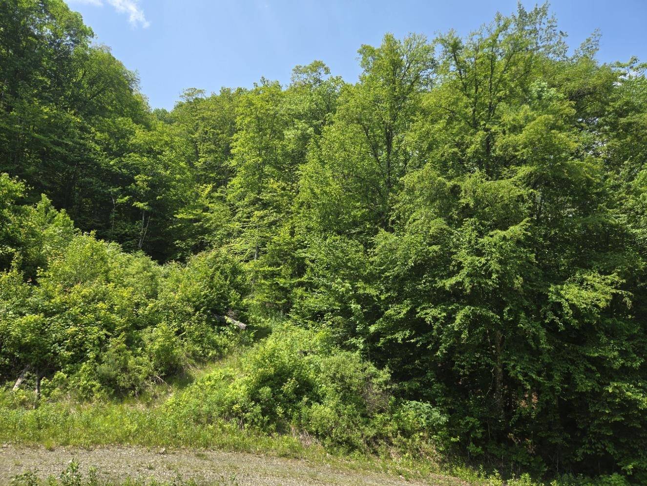Bethel, VT 05032,459 Sugar Hill RD