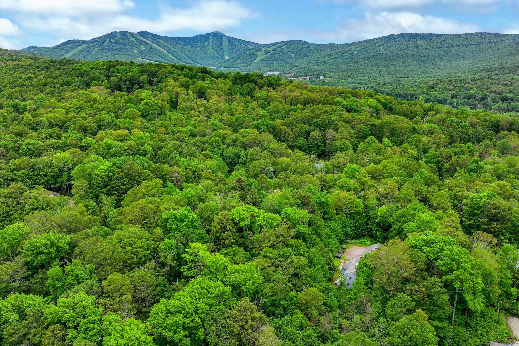 Killington, VT 05751,152 Wobbly LN