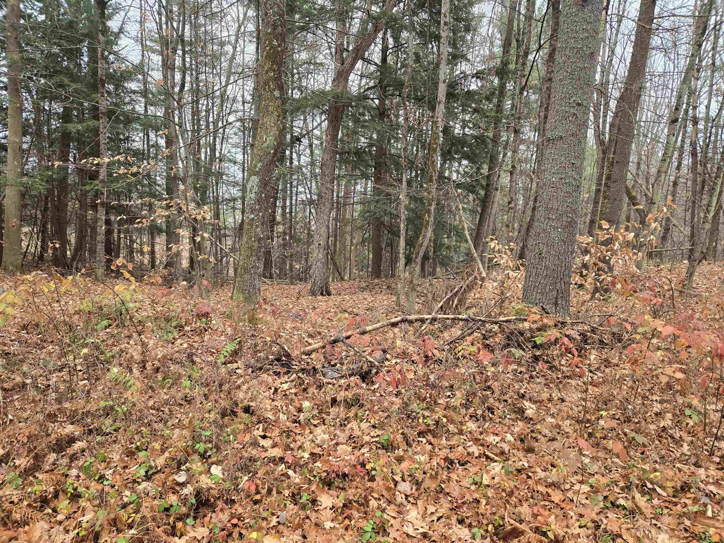 Hartford, VT 05001,Lot 09-195-003 Winsor DR
