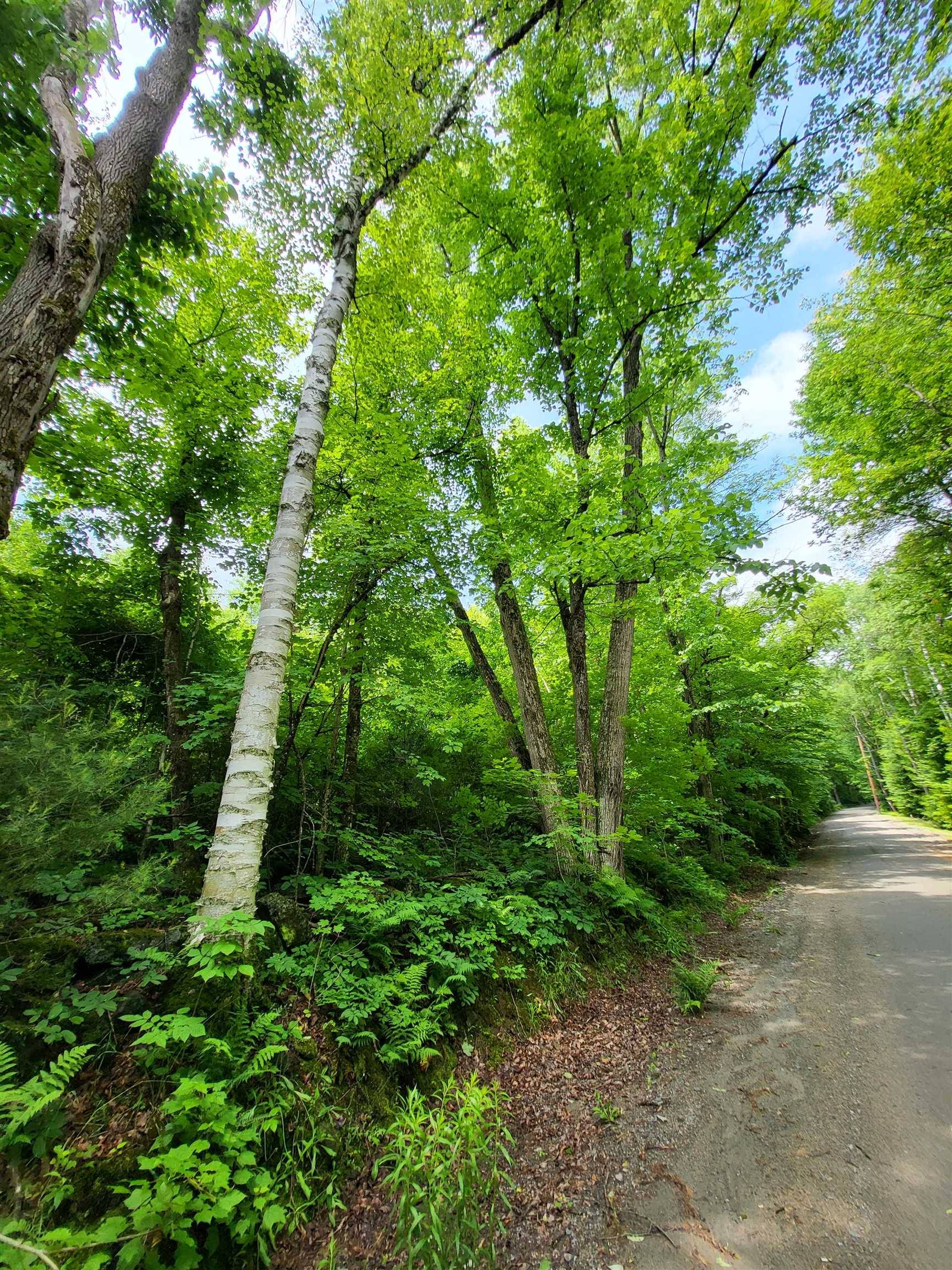 Sugar Hill, NH 03586,000 Blake RD
