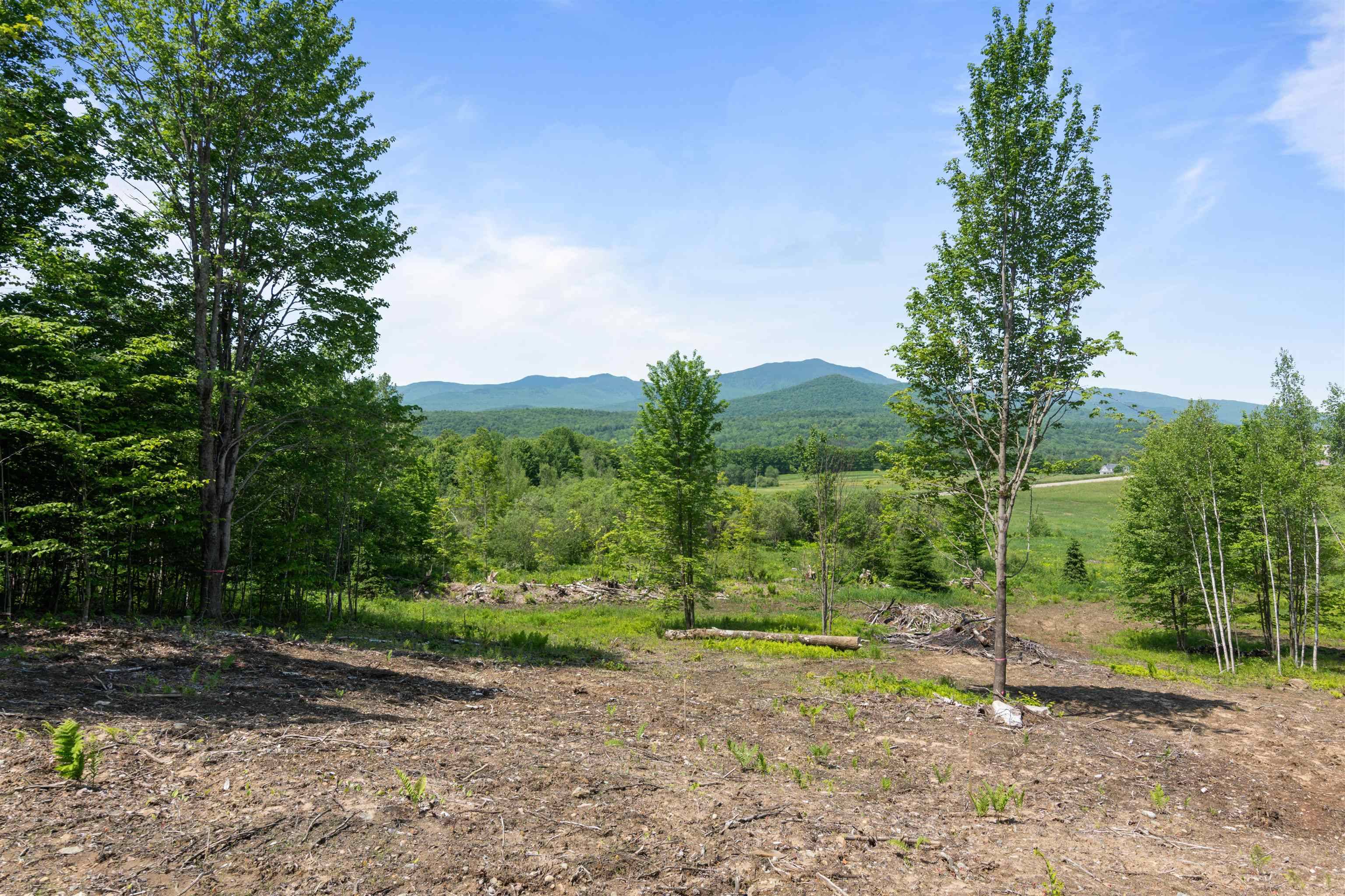 Morristown, VT 05661,251 White Birch RD